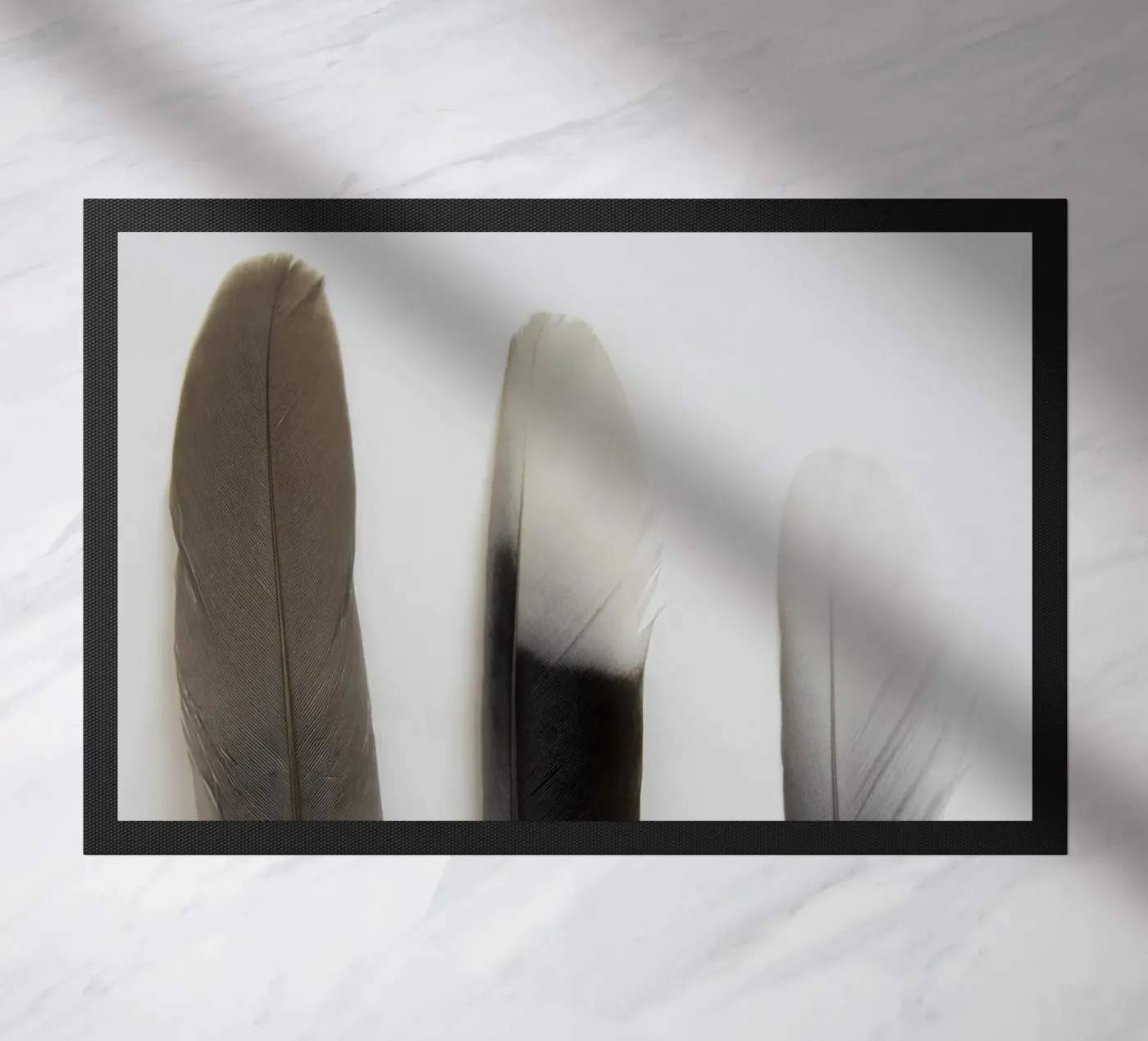 Plumes paillasson de Teresa André