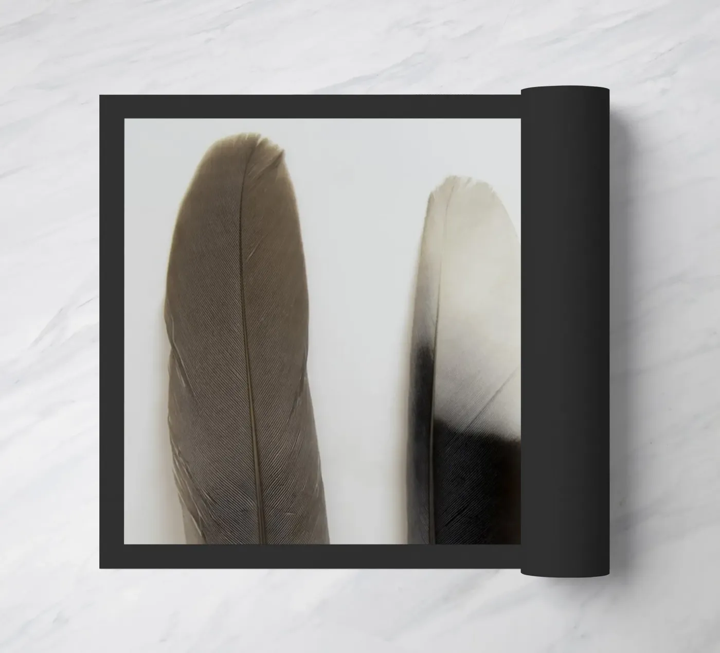 Plumes paillasson de Teresa André