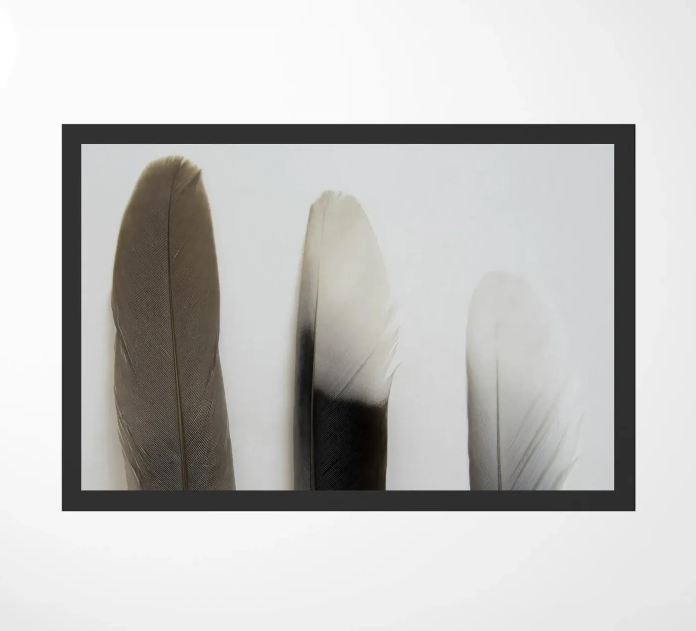 Plumes paillasson de Teresa André