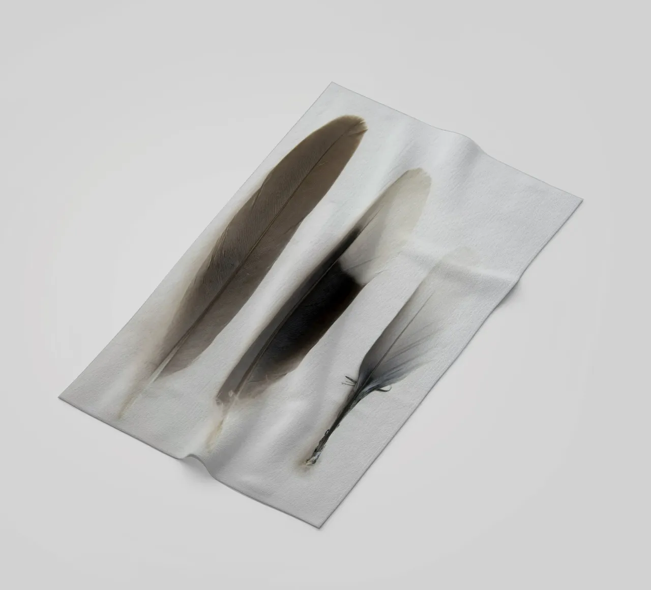 Piume telo mare da Teresa André