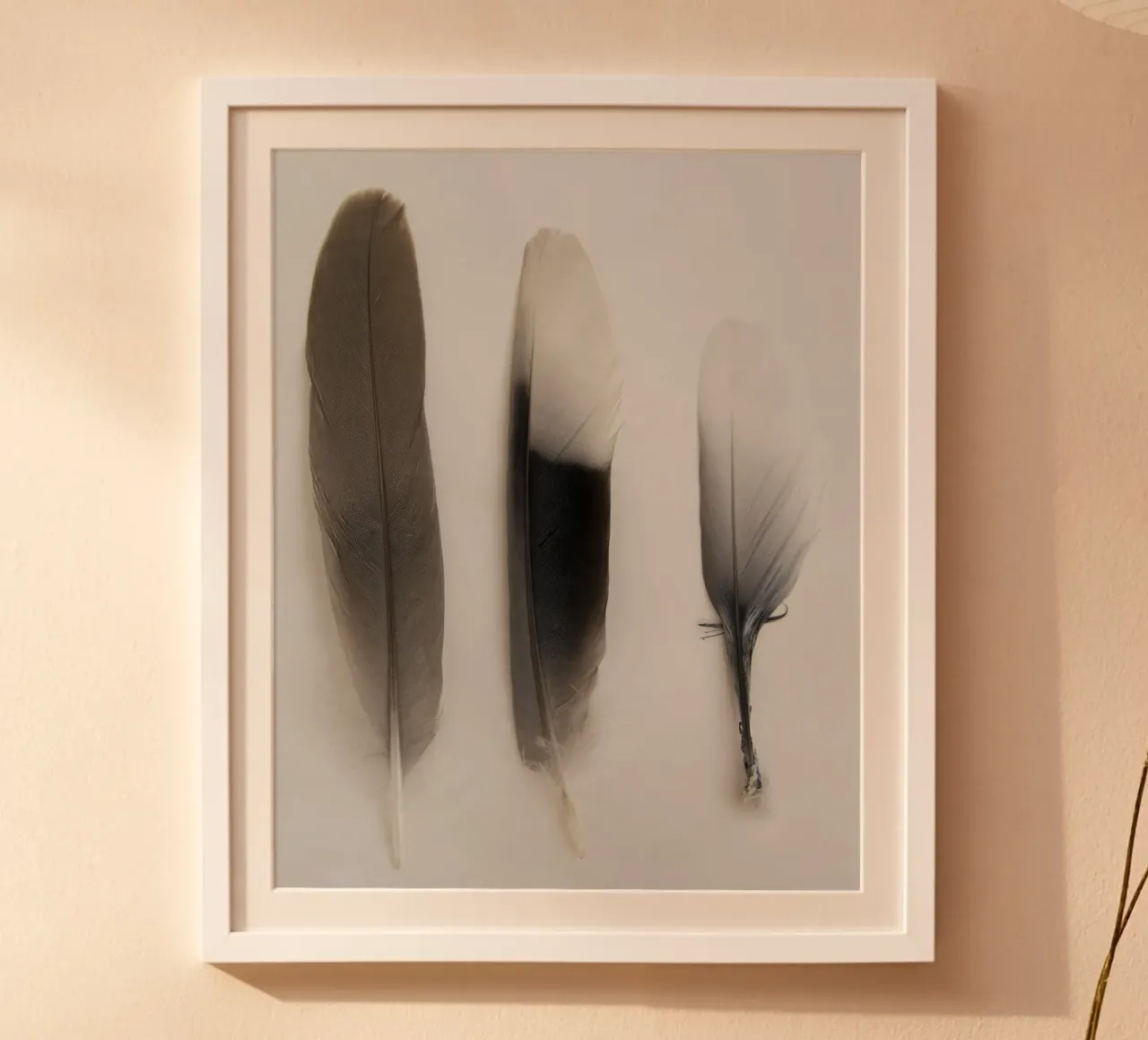 Piume poster da Teresa André