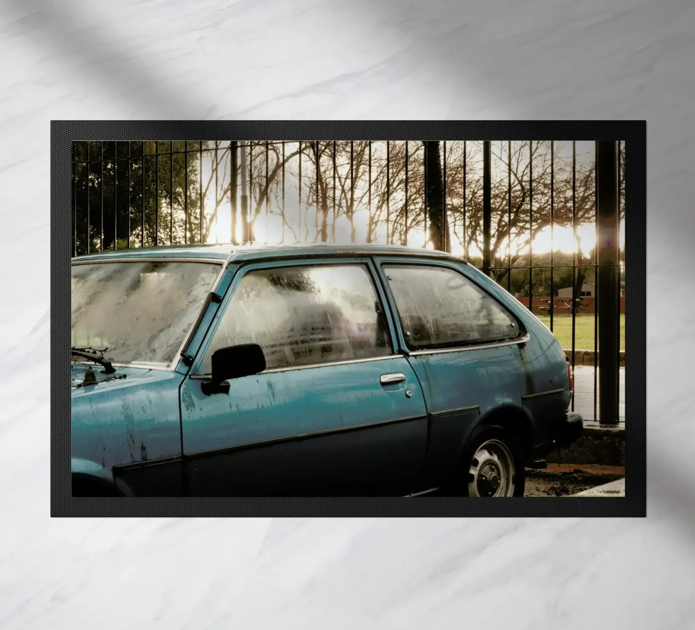 DSC8990 zerbino da Dustin Janko