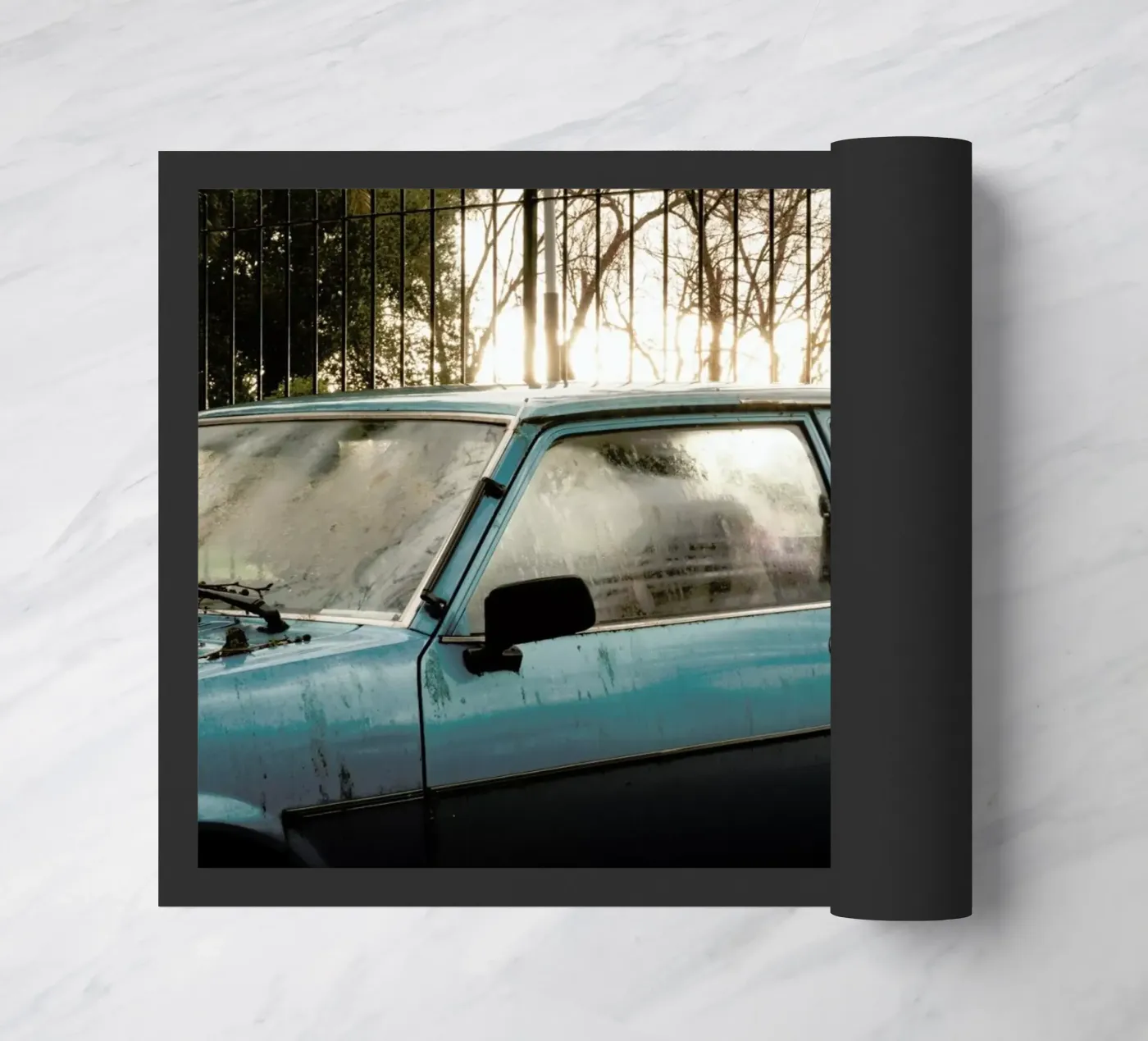 DSC8990 zerbino da Dustin Janko