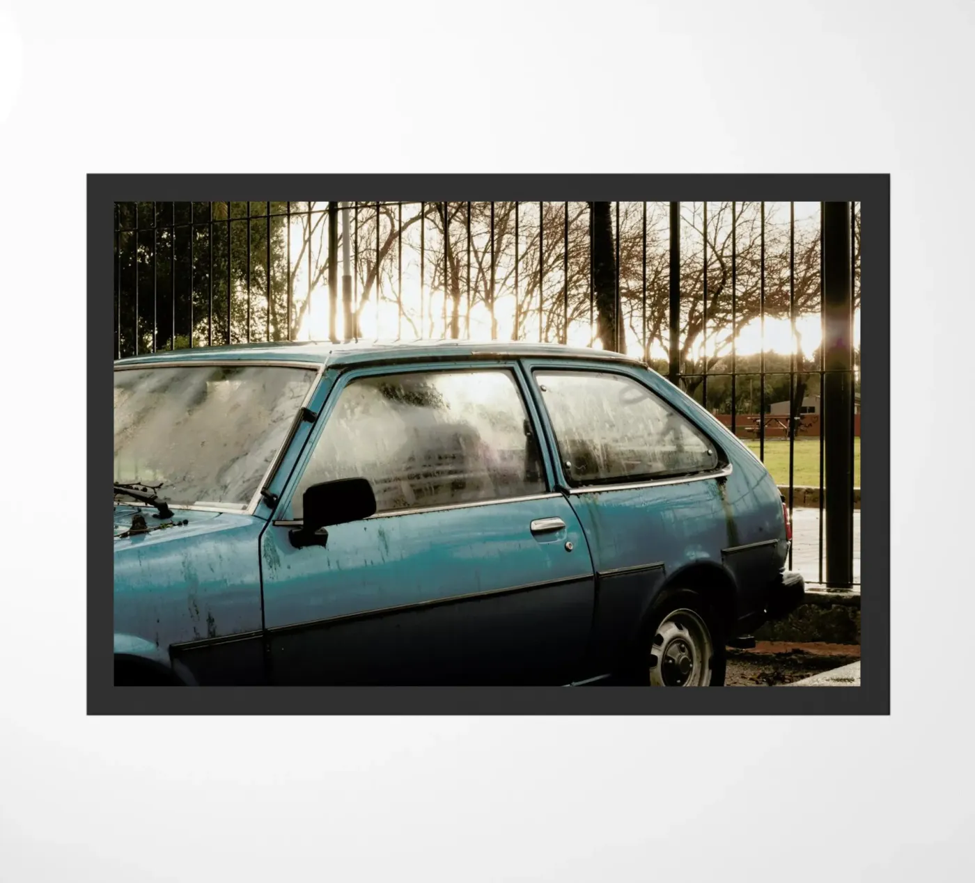 DSC8990 zerbino da Dustin Janko