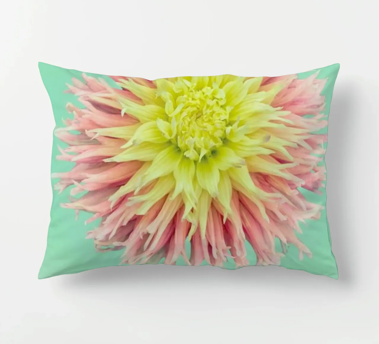 Bright Dahlia cuscino da Curious Collections by Marielle Leenders