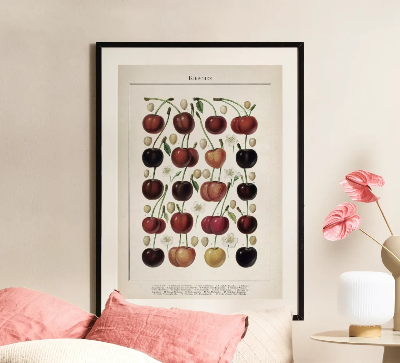 Vintage Meyers 6 Kirschen poster con telaio in alluminio da Vintage Print Collection