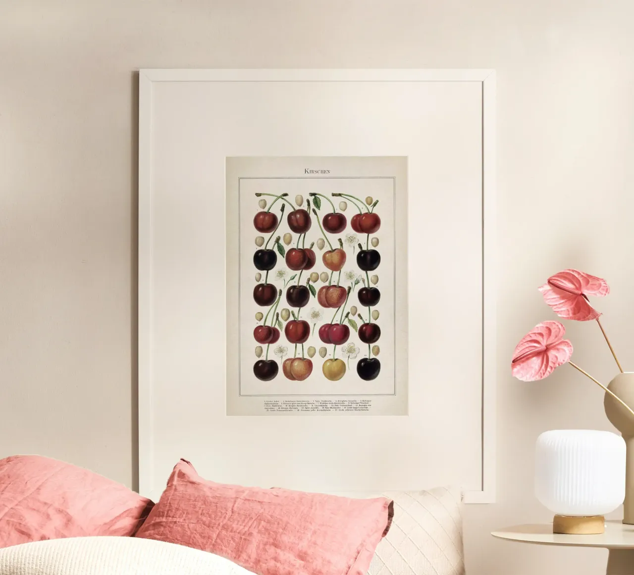 Vintage Meyers 6 Kirschen poster con telaio in alluminio da Vintage Print Collection