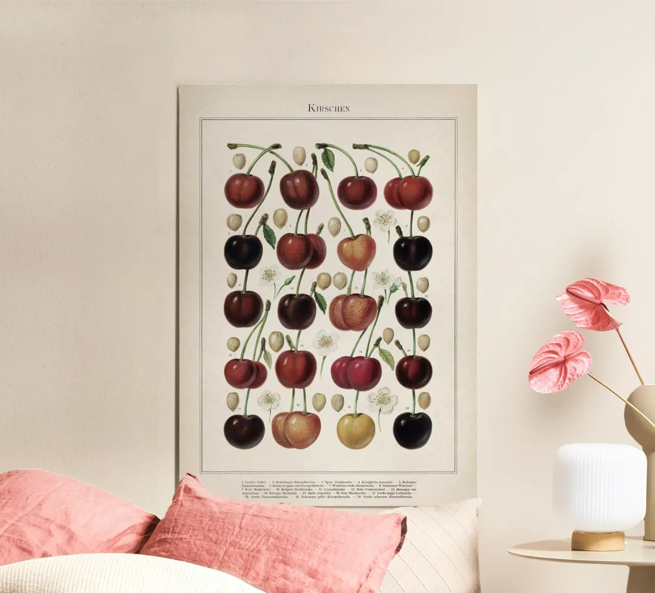 Vintage Meyers 6 Kirschen poster con telaio in alluminio da Vintage Print Collection
