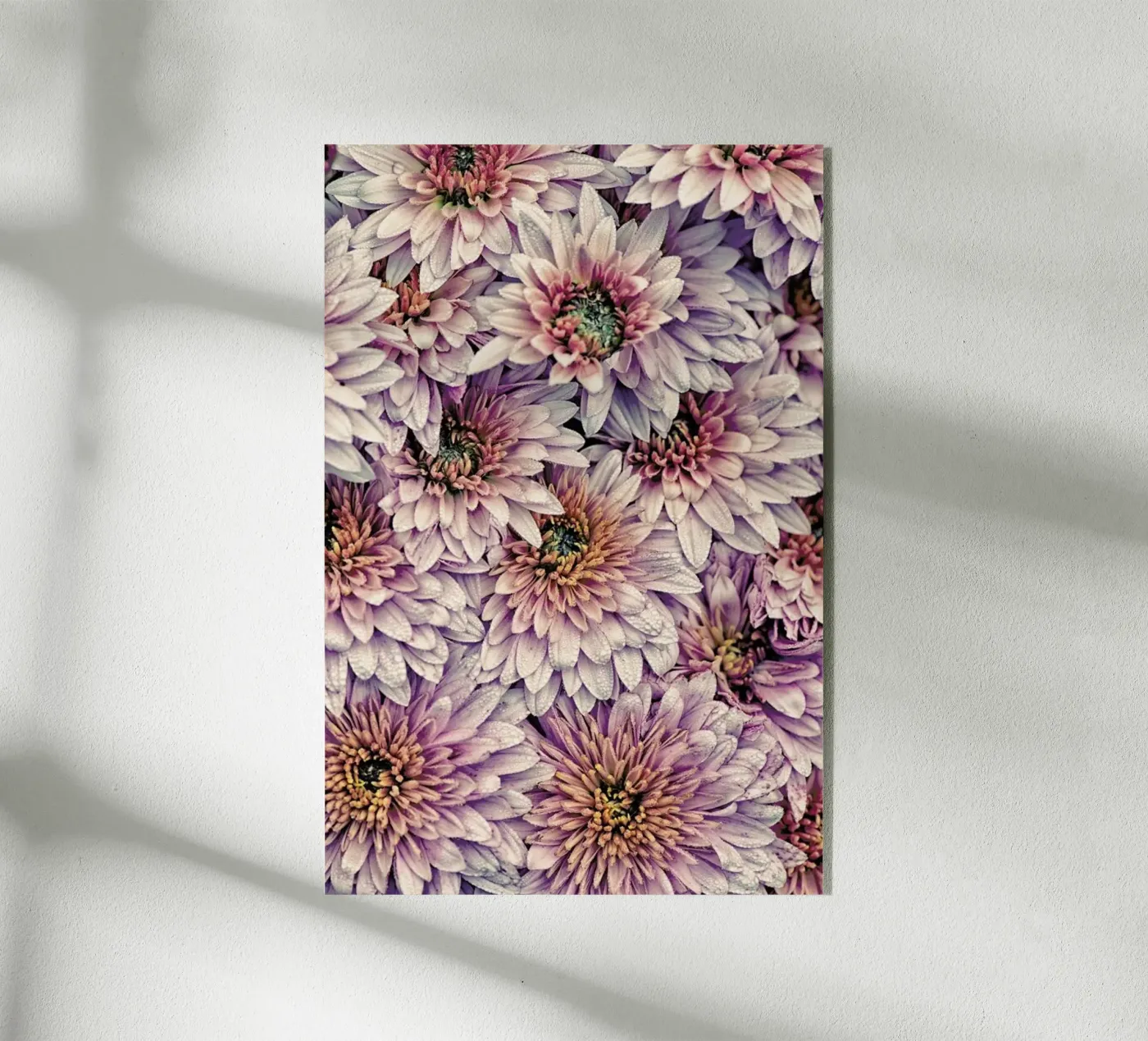 Wheeping Chrysanthemums plexiglas de Curious Collections by Marielle Leenders