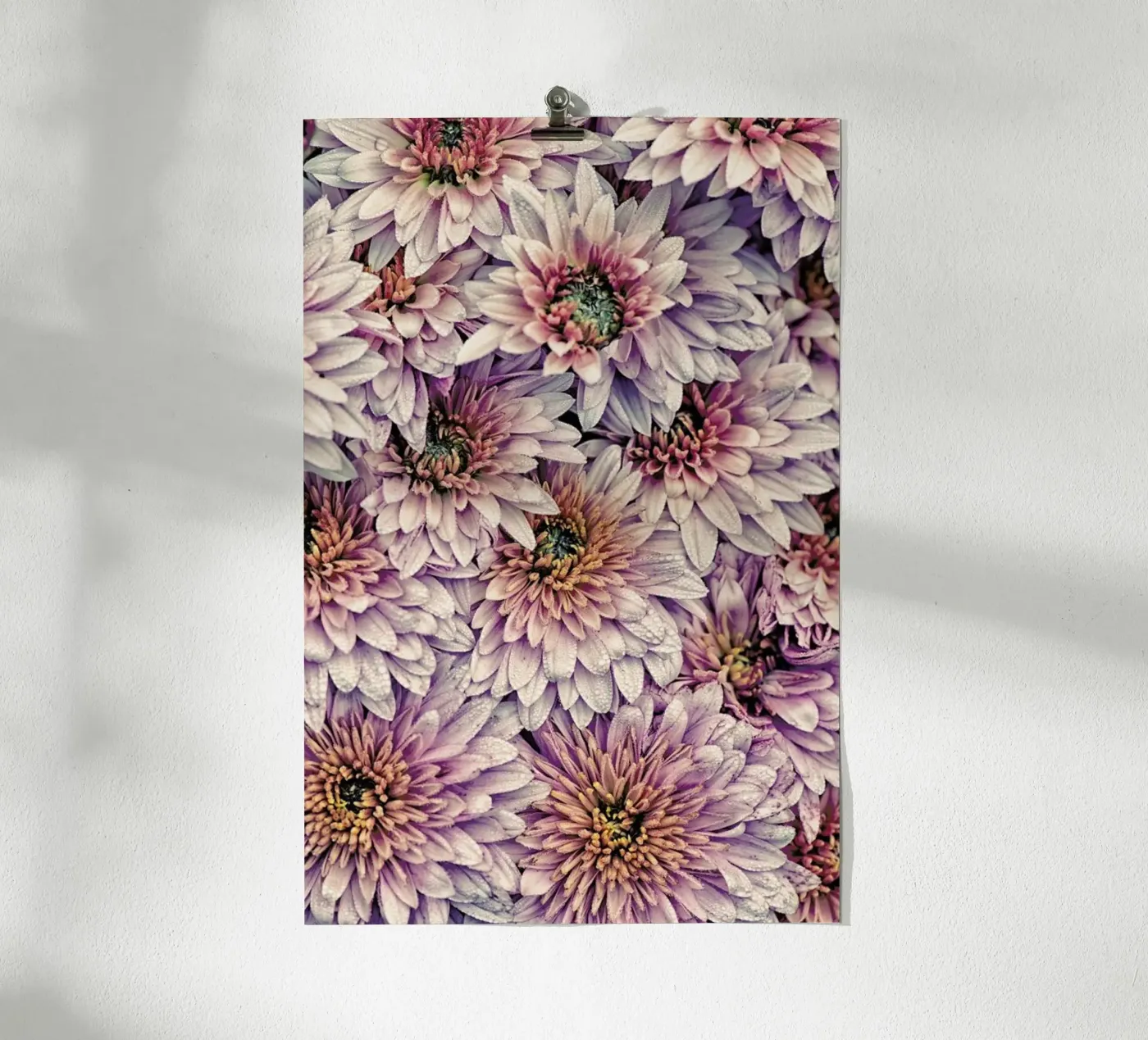 Wheeping Chrysanthemums poster by Curious Collections by Marielle Leenders
