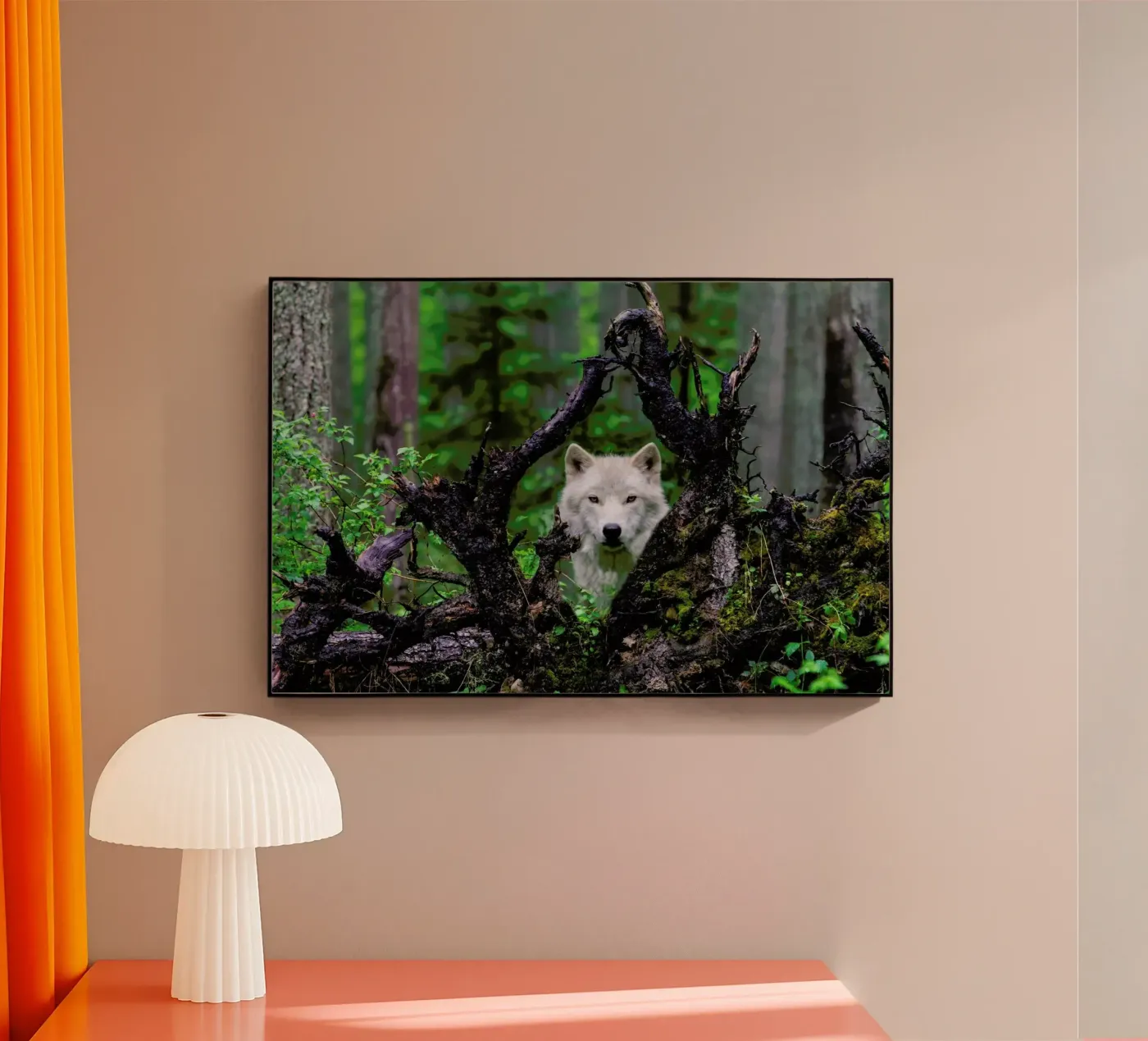 Wolf plexiglass da Pictufy
