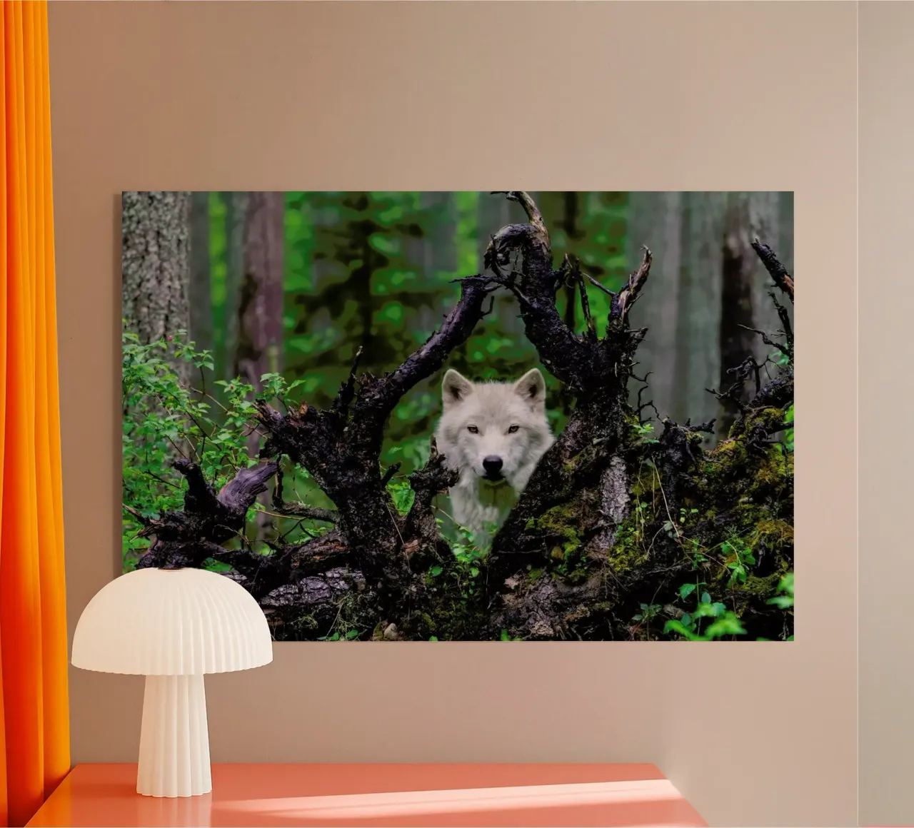 Wolf plexiglass da Pictufy