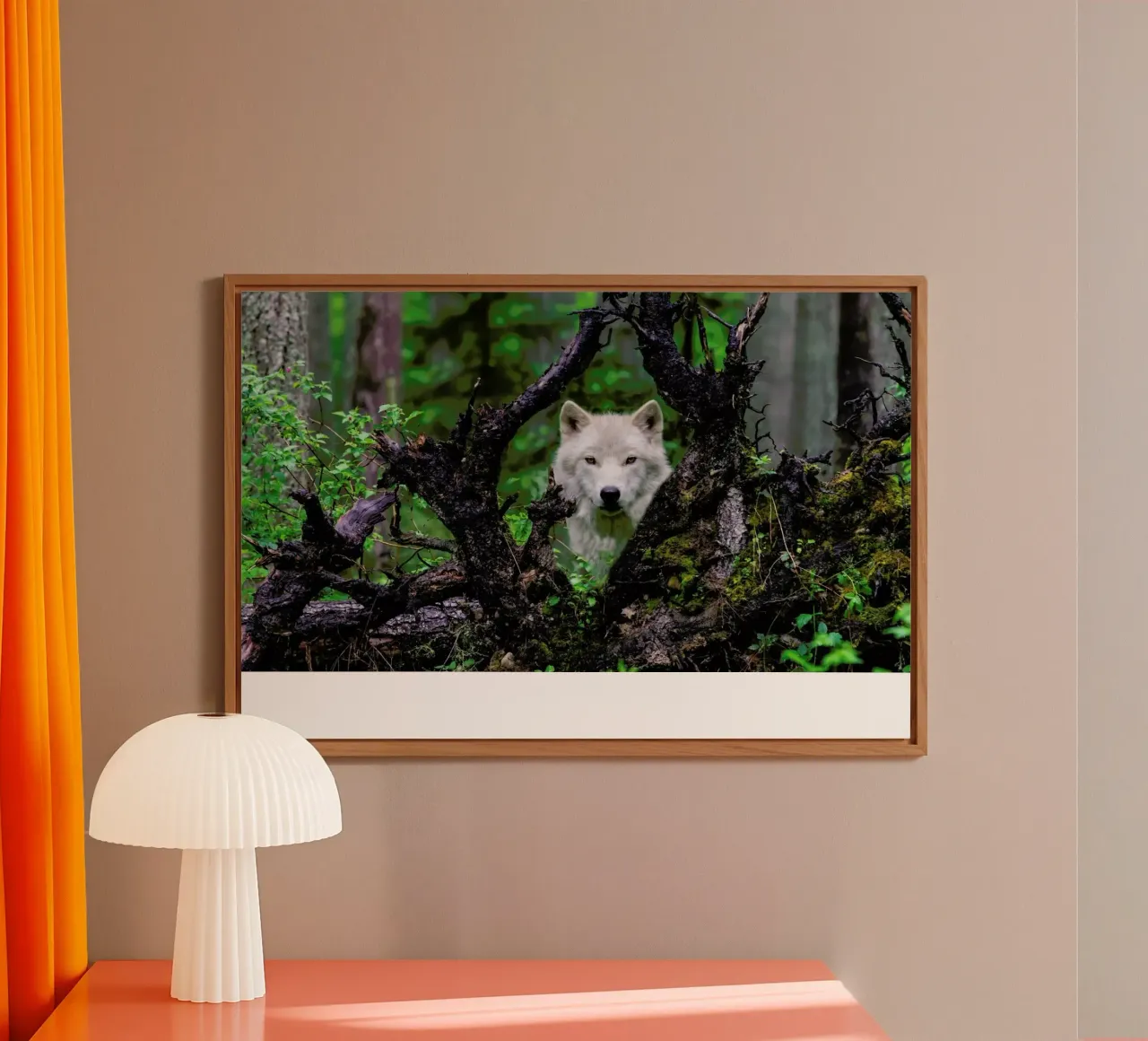 Wolf pannello forex da Pictufy