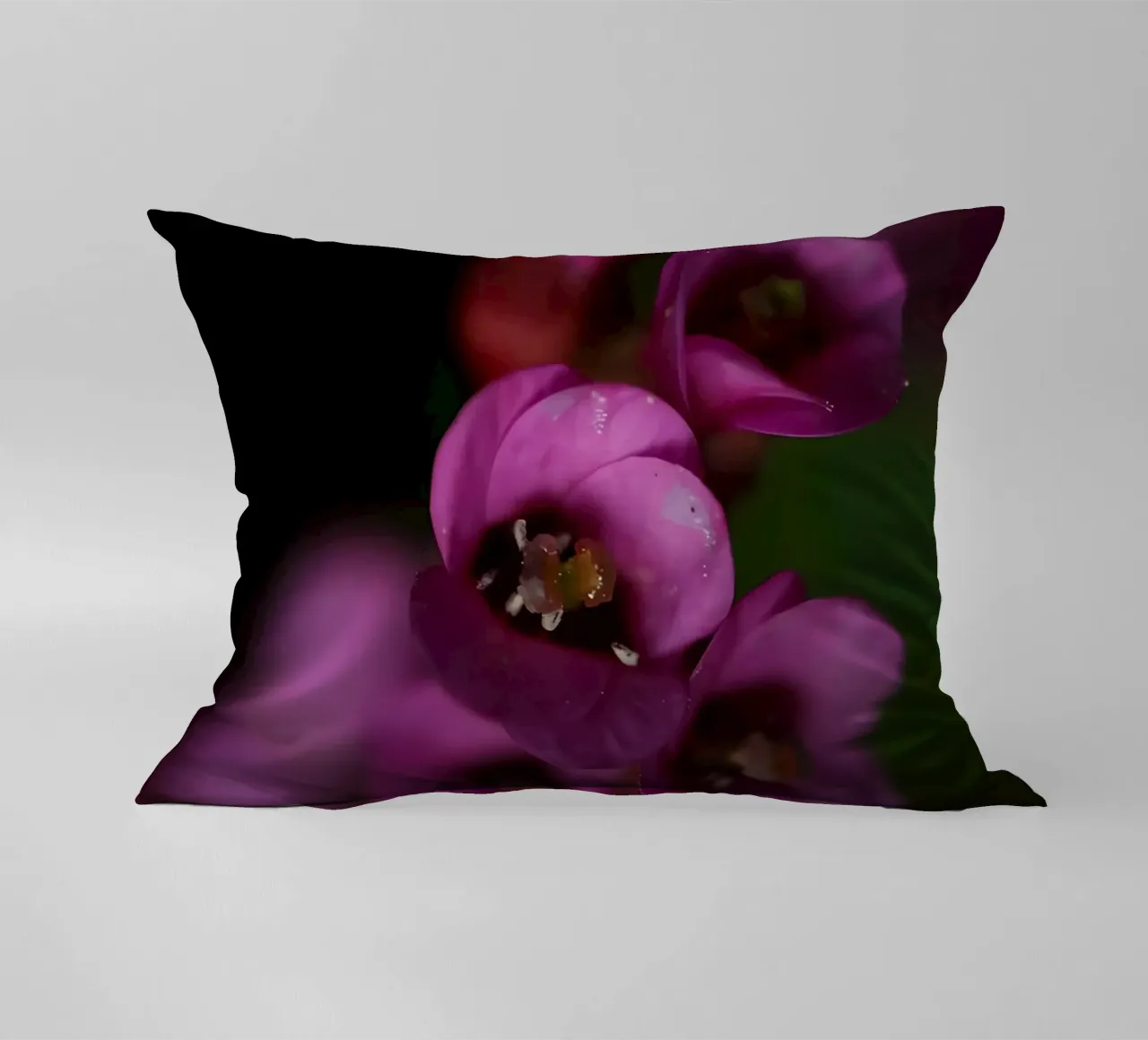 Macro de la flor de la pirola morada cojín de Renesme