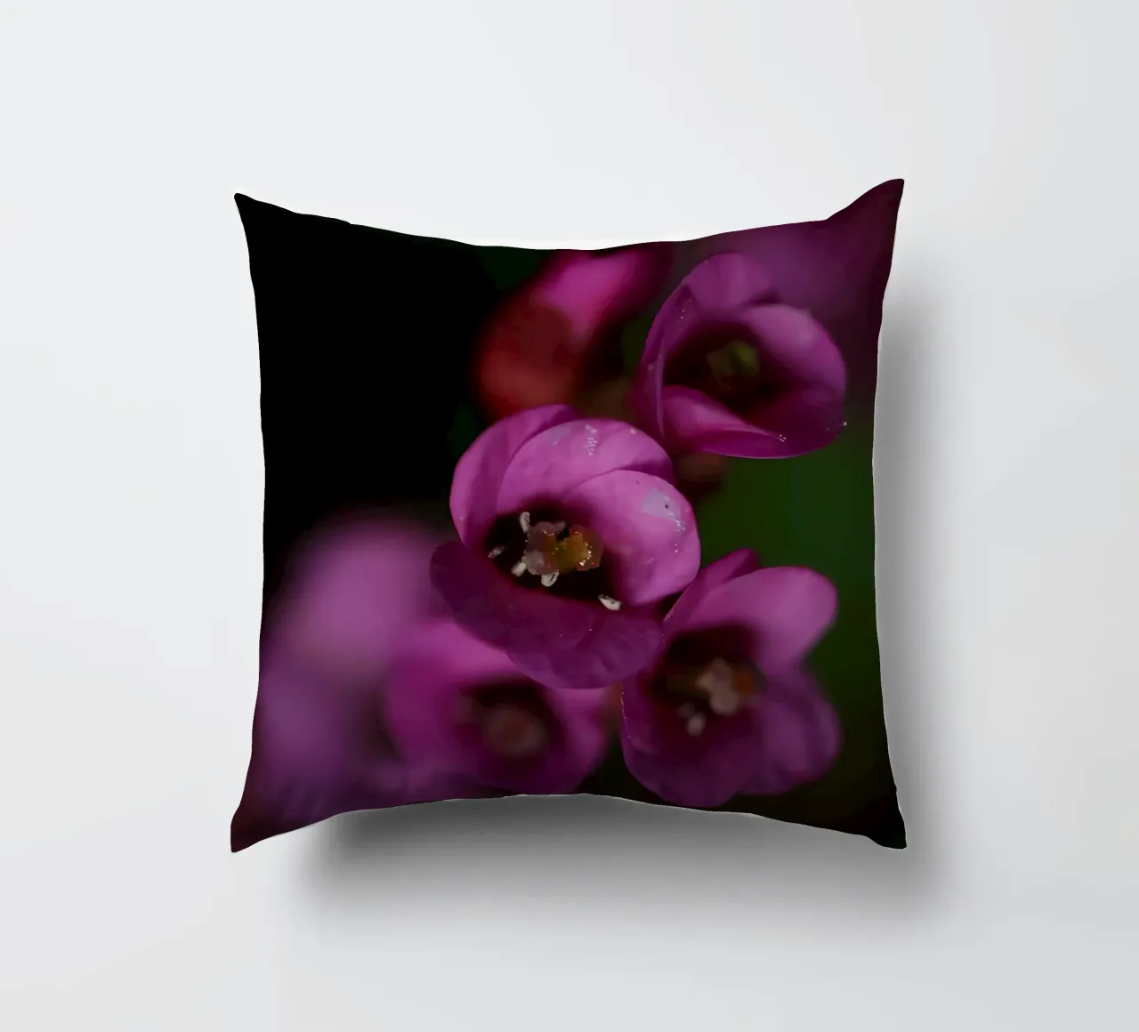 Macro de la flor de la pirola morada cojín de Renesme