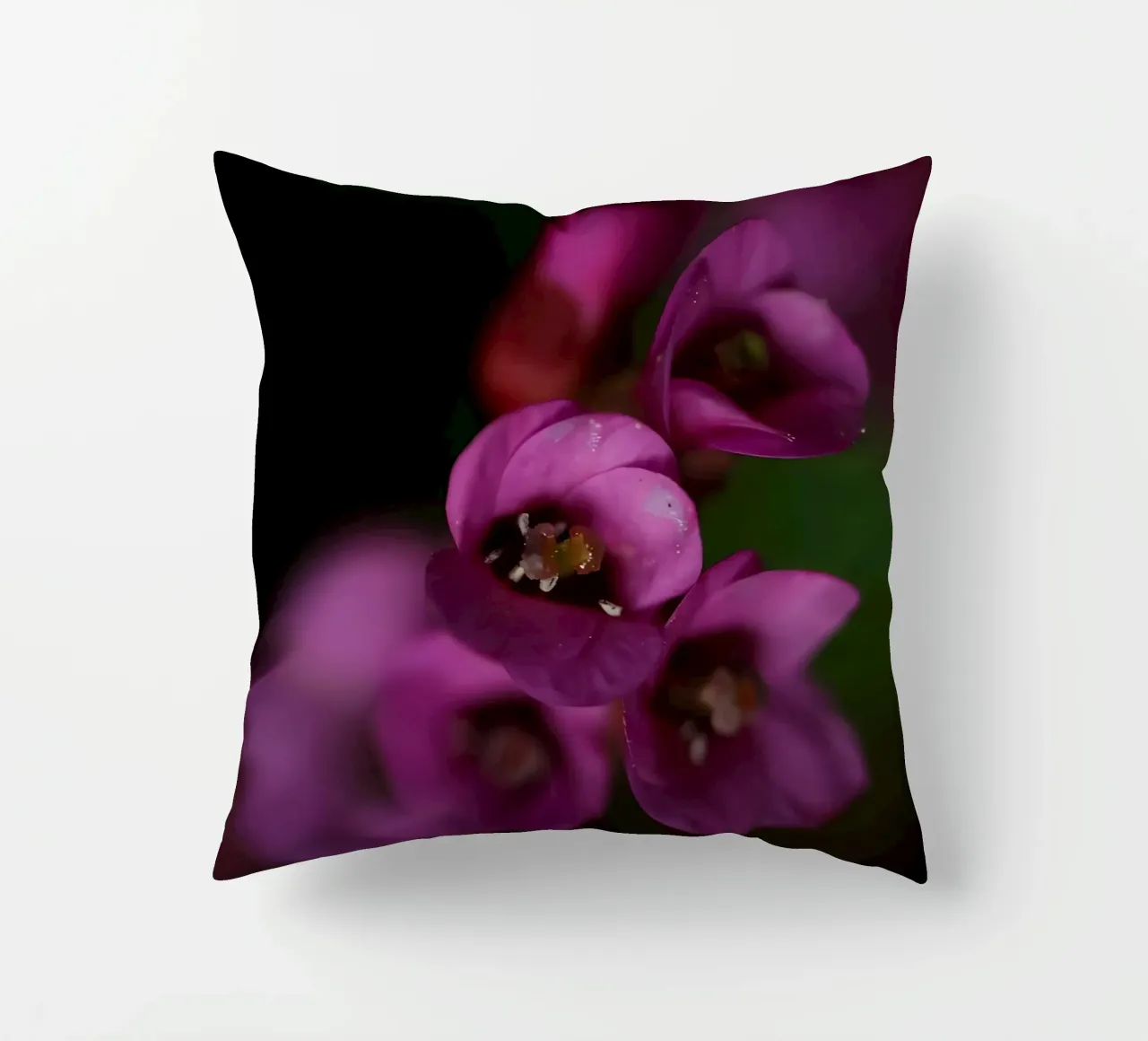 Macro de la flor de la pirola morada cojín de Renesme