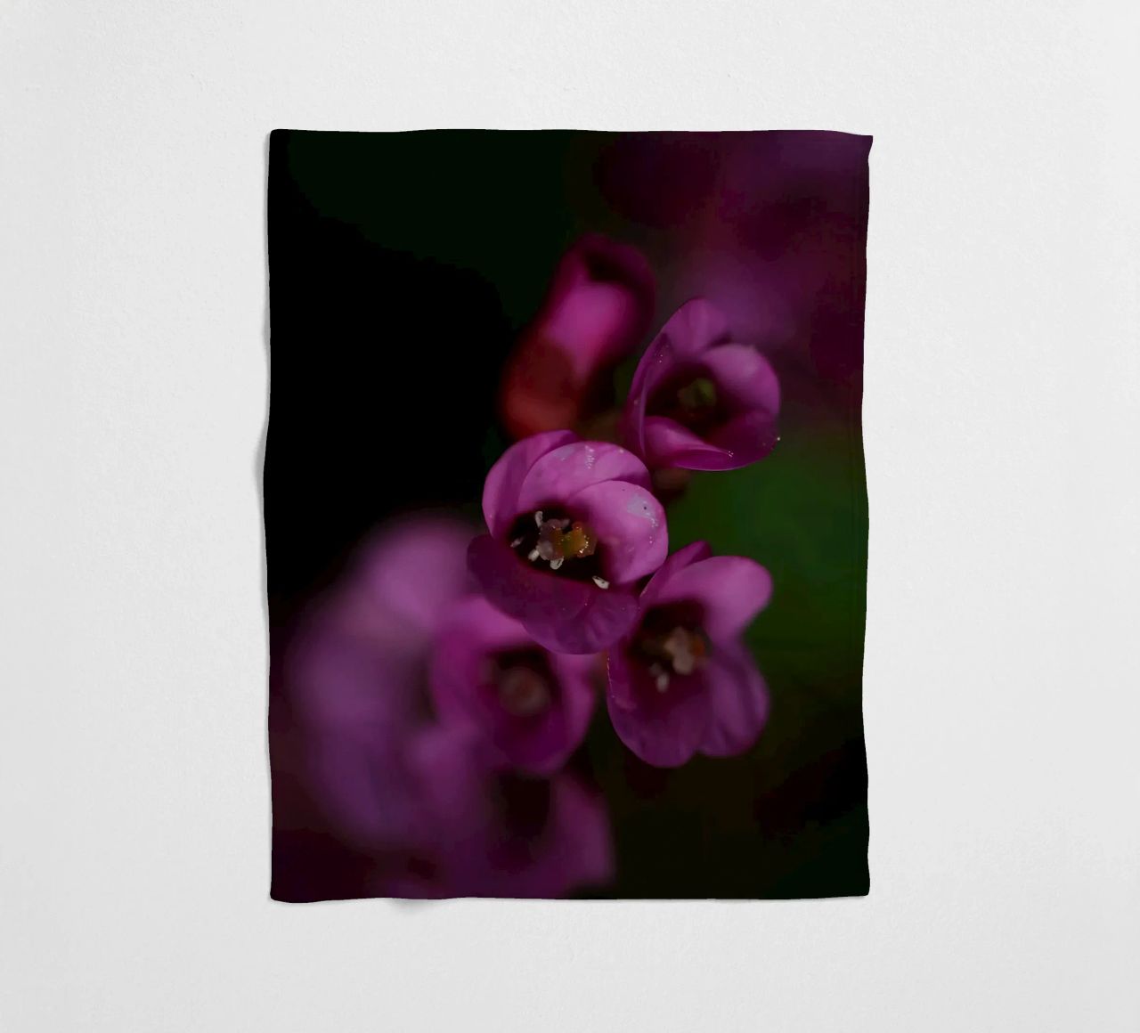 Macro fiore di pirola viola coperta in pile da Renesme