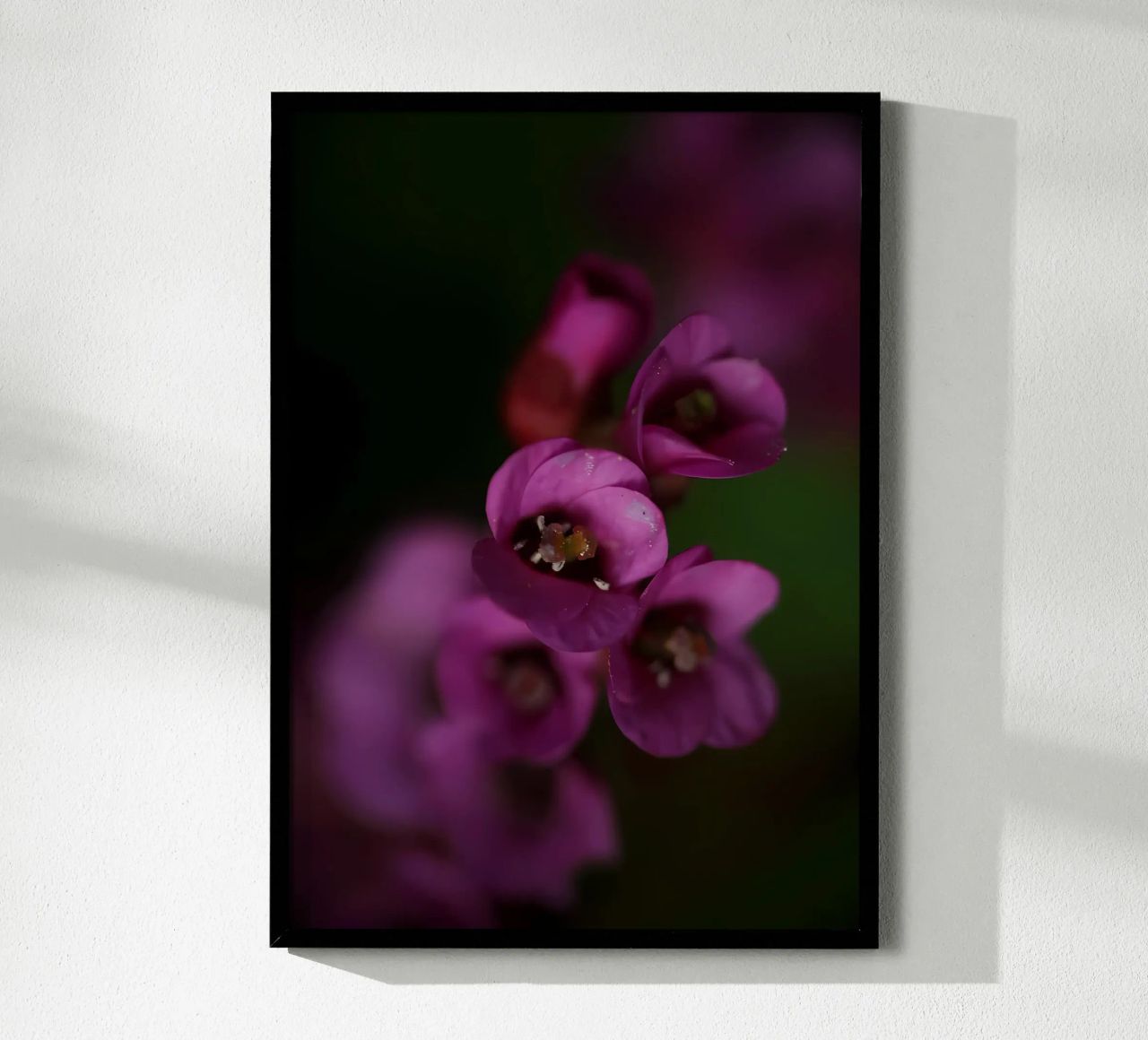 Macro fiore di pirola viola poster da Renesme