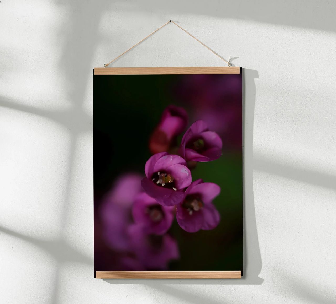 Macro fiore di pirola viola poster da Renesme