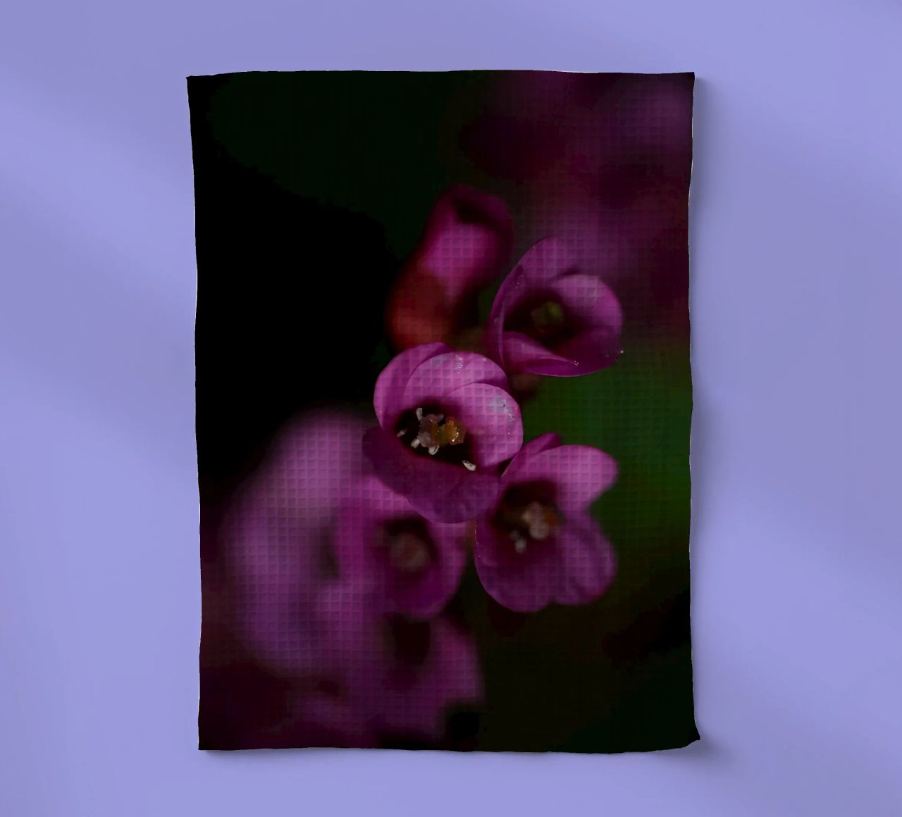 Macro fiore di pirola viola canovaccio da cucina da Renesme