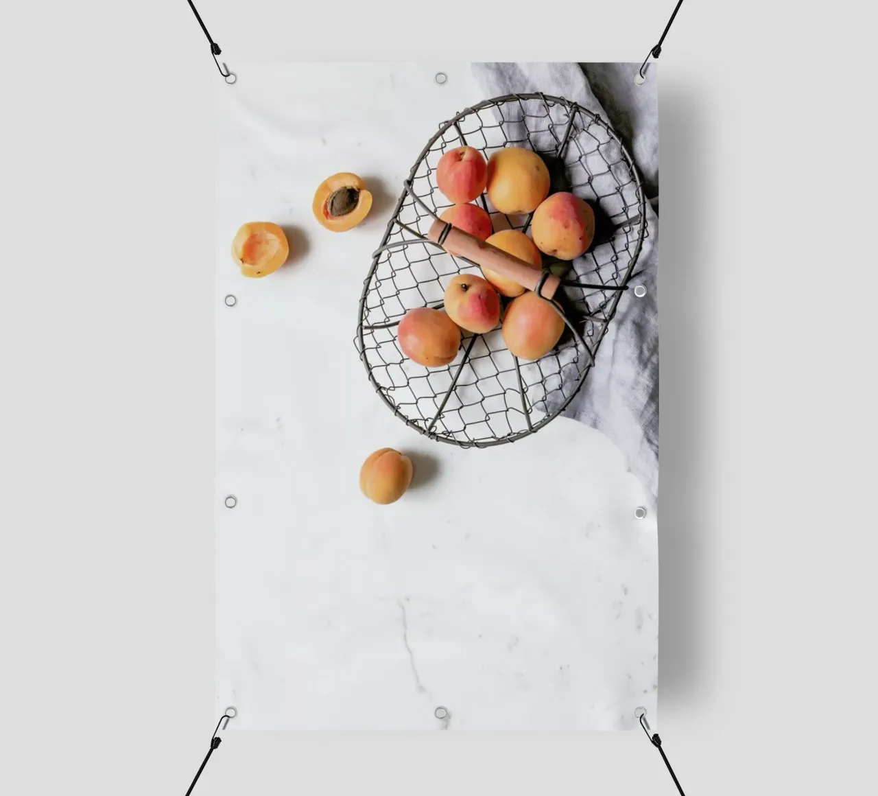 Aprikosenernte telo in pvc da Eat this