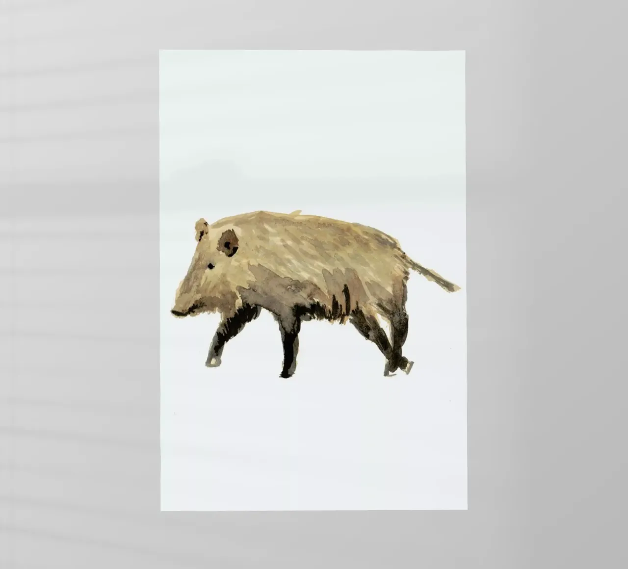 Boar pellicola backlit da Farina Kuklinski