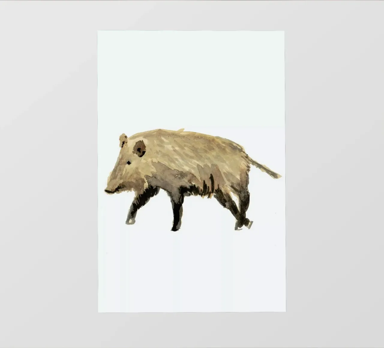 Boar pellicola backlit da Farina Kuklinski