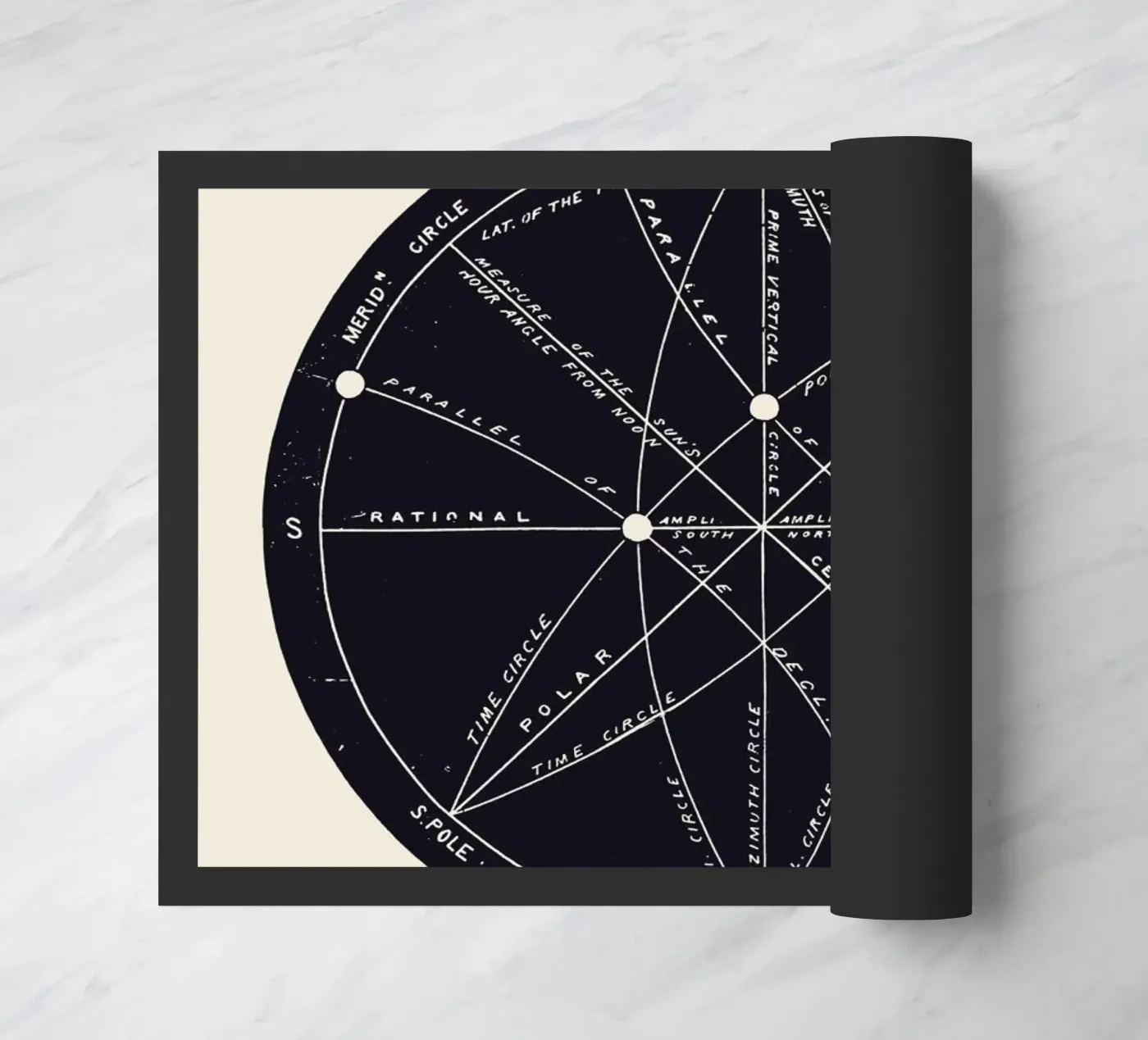 Meridians zerbino da Astër