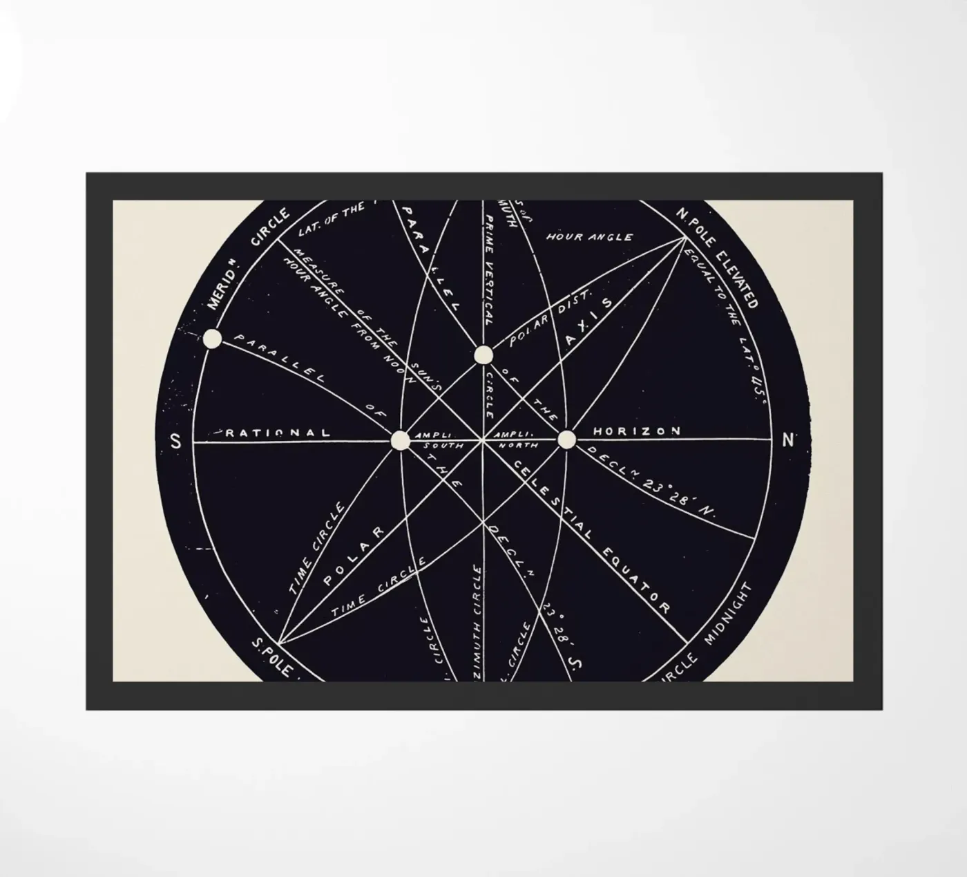 Meridians zerbino da Astër