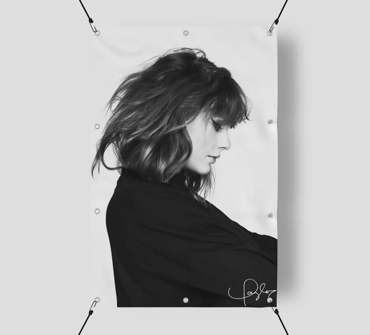 Taylor swift with signature PVC Plane von avissta