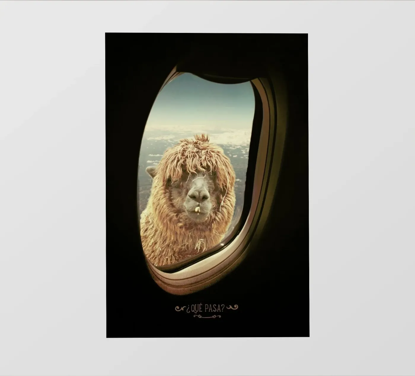 Que Pasa ? pellicola backlit da Monika Strigel