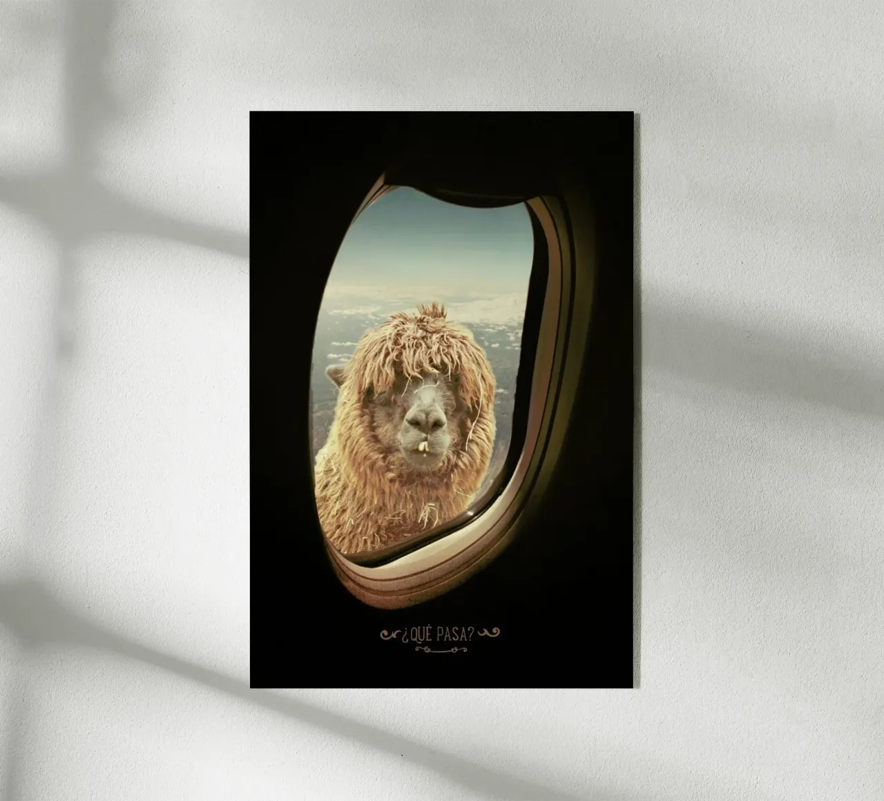 Que Pasa ? plexiglass da Monika Strigel