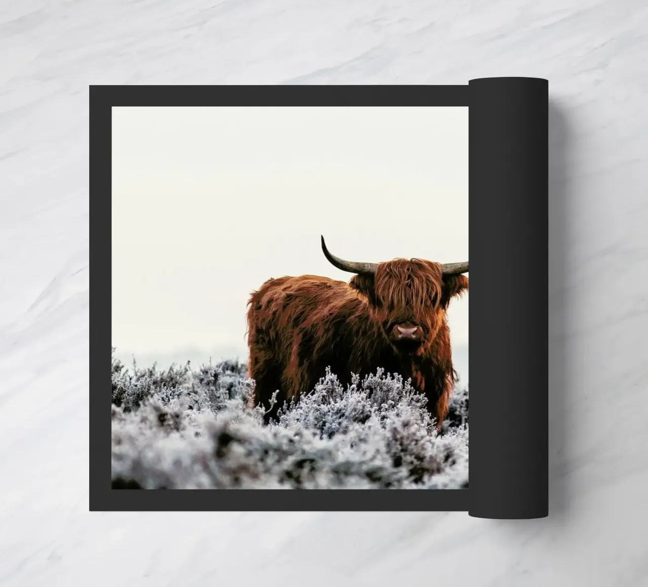 Highlander - Jaap Van Den zerbino da Pictufy