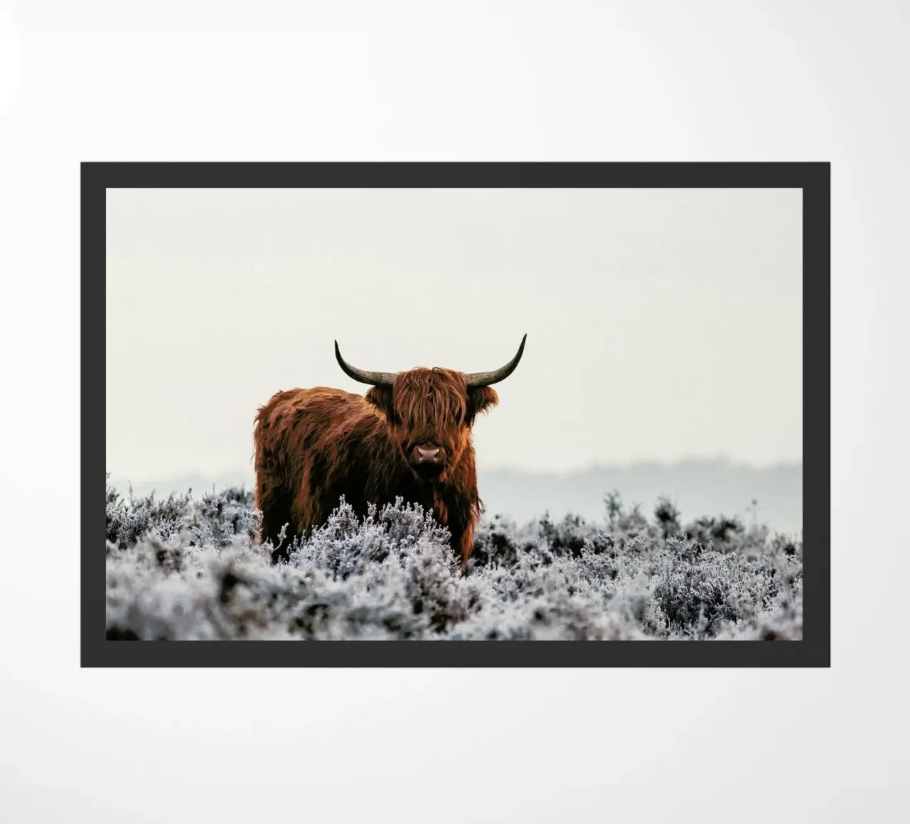 Highlander - Jaap Van Den zerbino da Pictufy