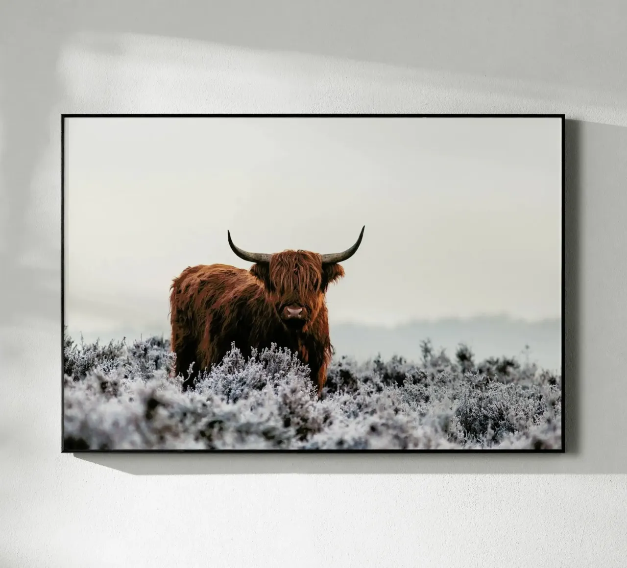 Highlander - Jaap Van Den plexiglass da Pictufy