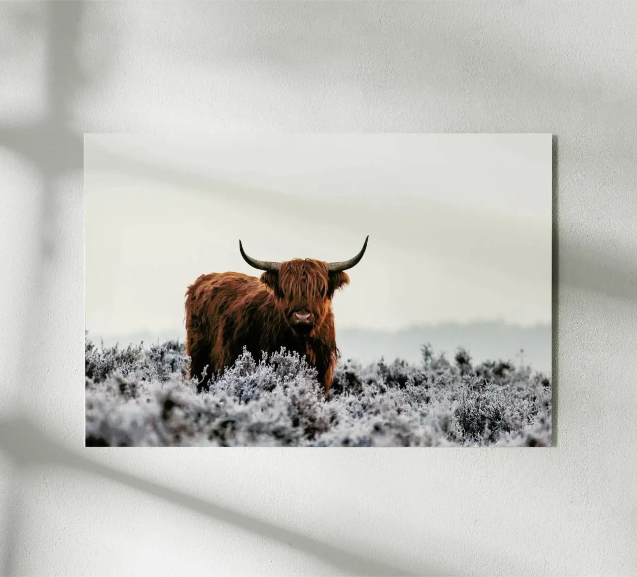 Highlander - Jaap Van Den plexiglass da Pictufy