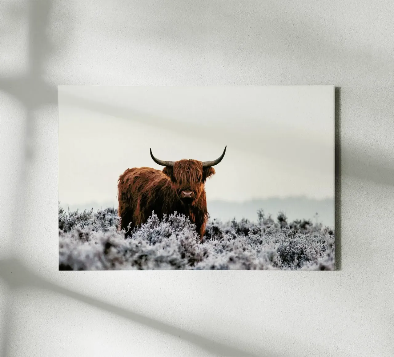 Highlander - Jaap Van Den tela con Cornice a cassetta da Pictufy