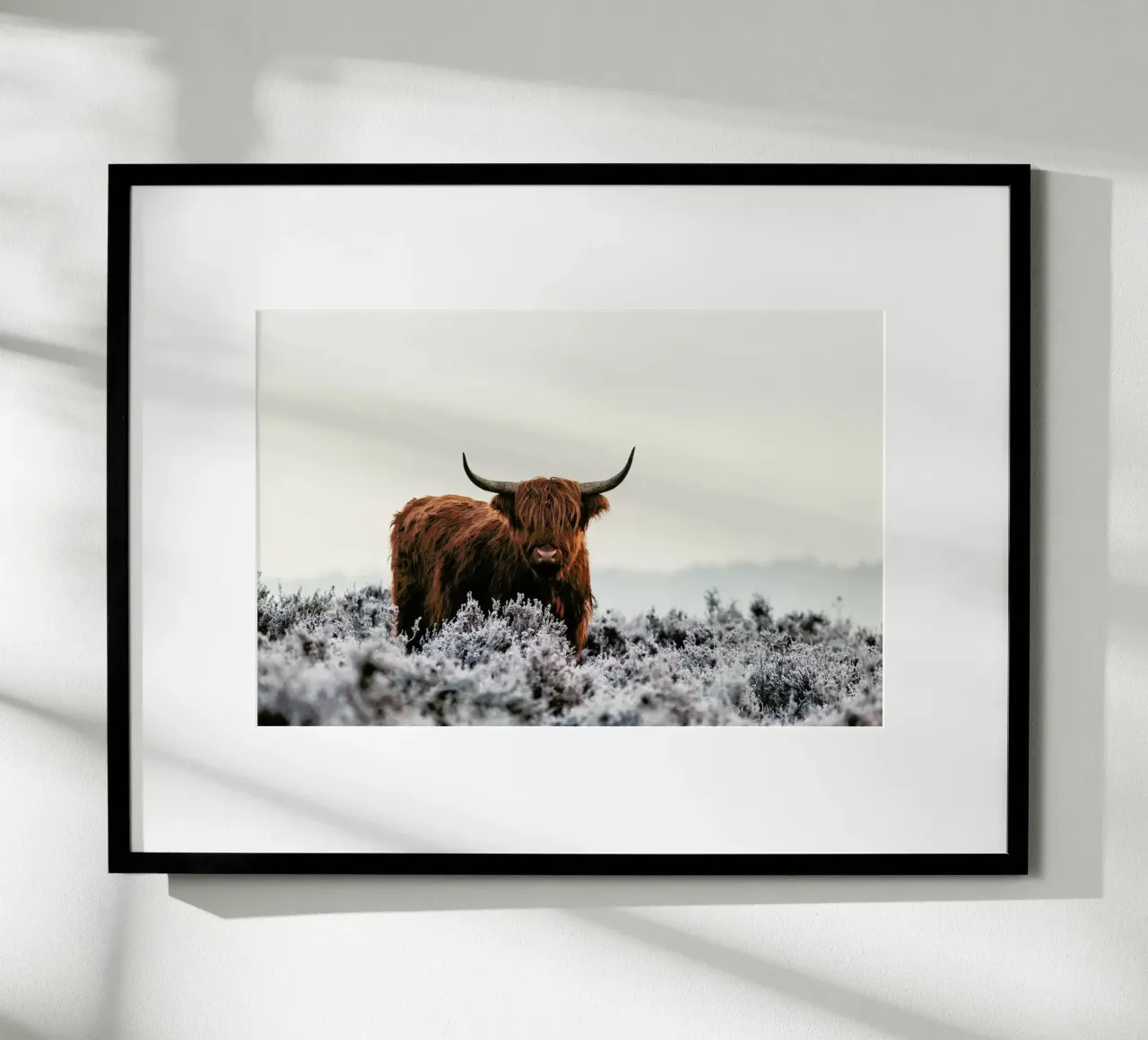 Highlander - Jaap Van Den poster by Pictufy