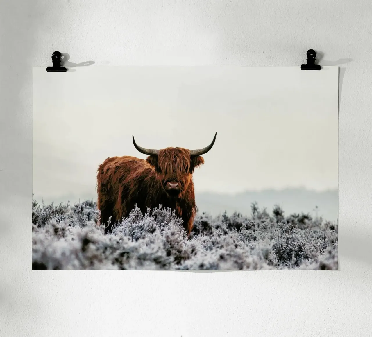 Highlander - Jaap Van Den carta hahnemühle da Pictufy