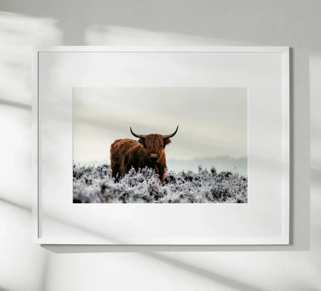 Highlander - Jaap Van Den poster by Pictufy