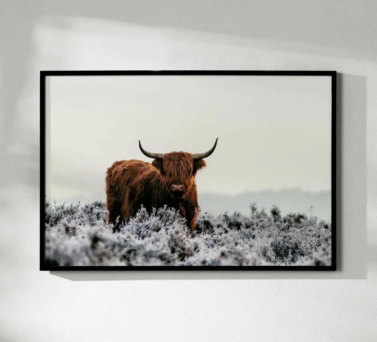 Highlander - Jaap Van Den carta hahnemühle da Pictufy