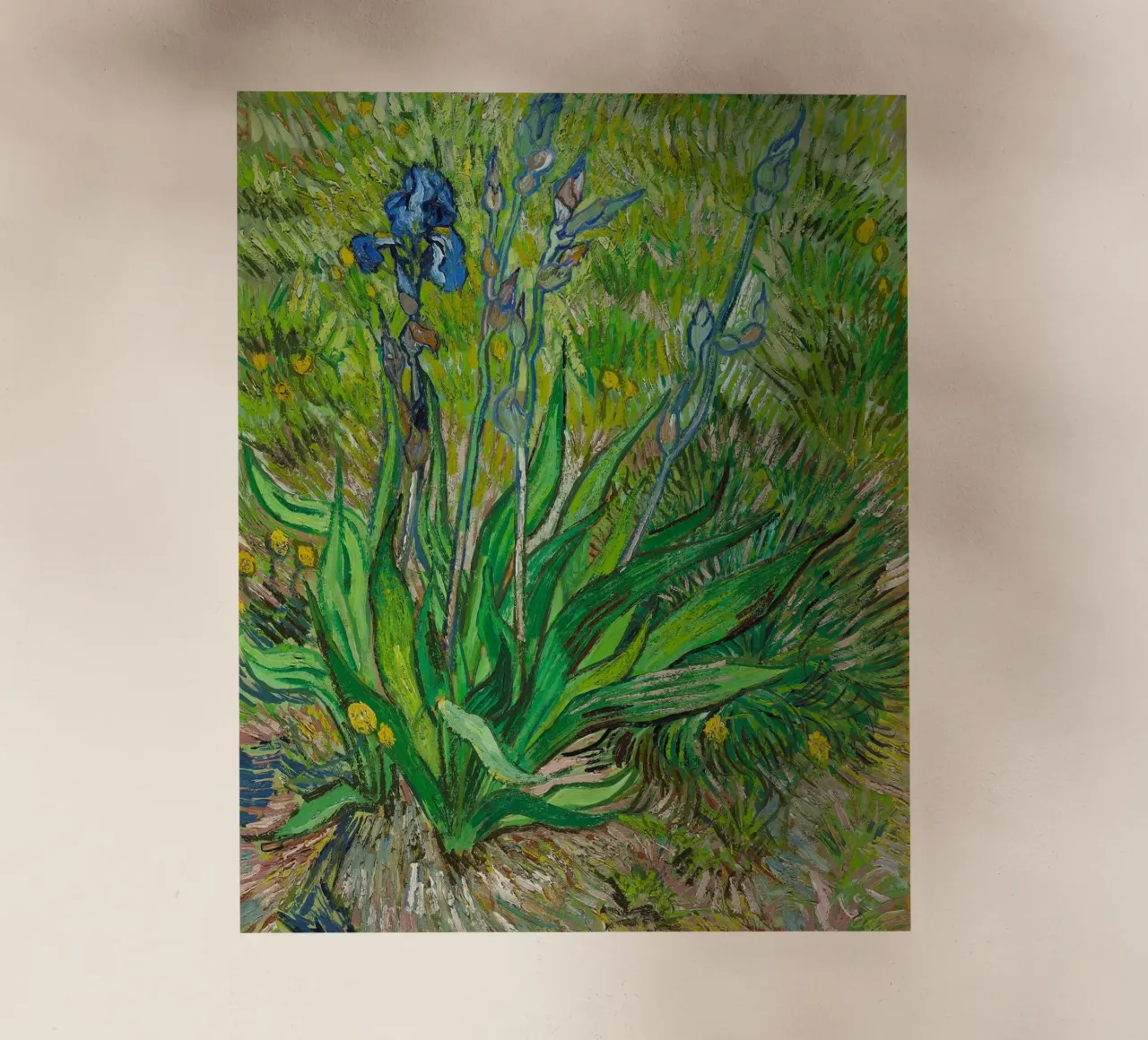 Vincent Van Gogh - L'iris pellicola backlit da Timeless Artworks