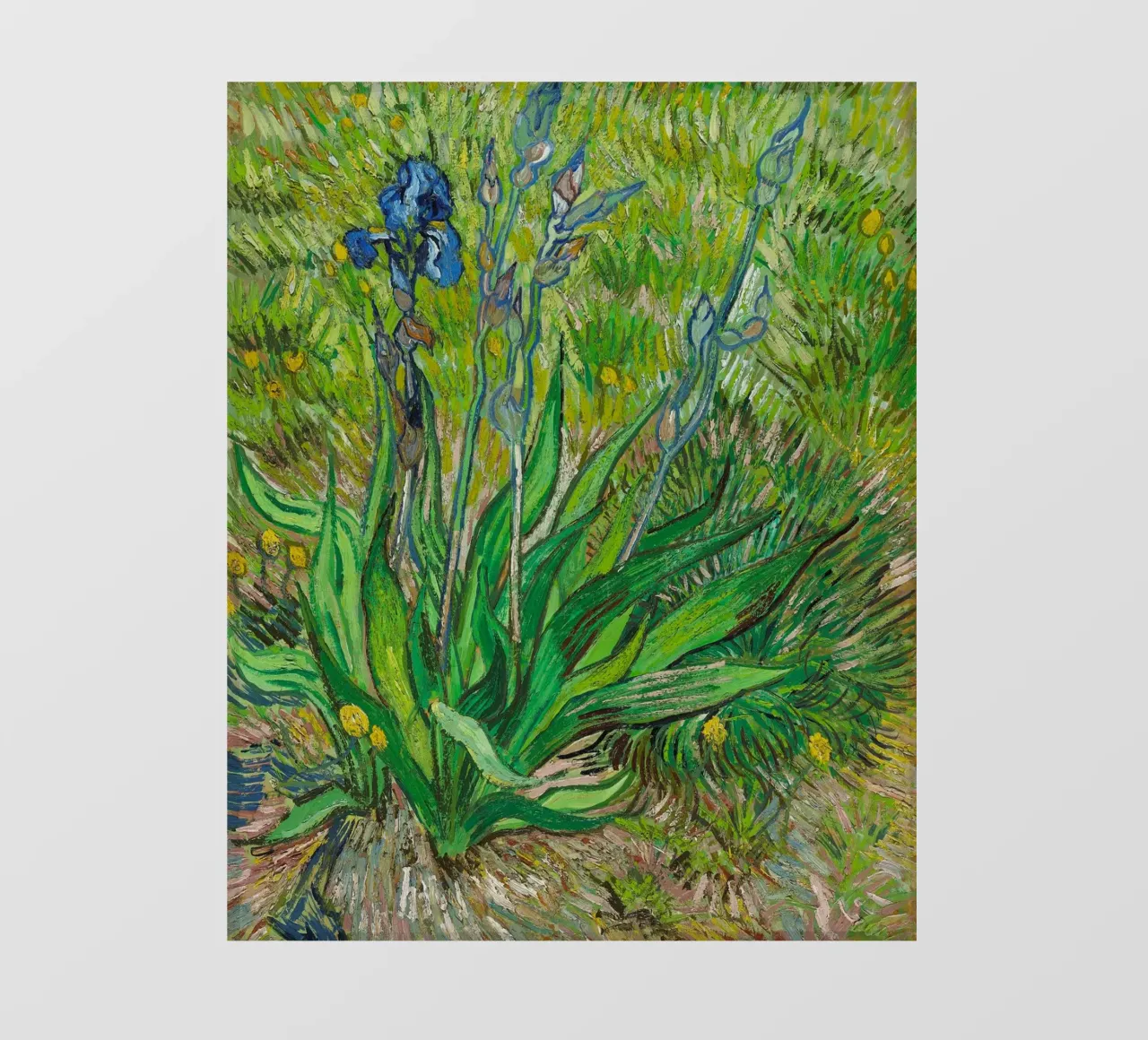 Vincent Van Gogh - L'iris telo in pvc da Timeless Artworks