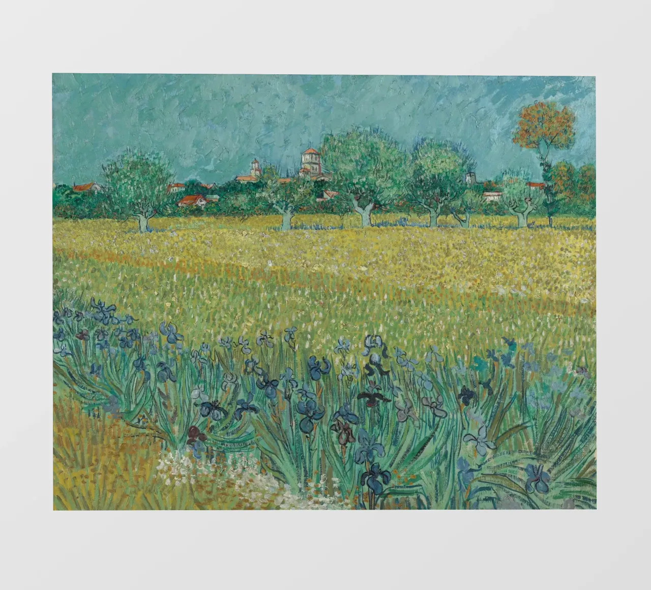 Vincent Van Gogh - Field with Irises near Arles pvc cover by Timeless Artworks