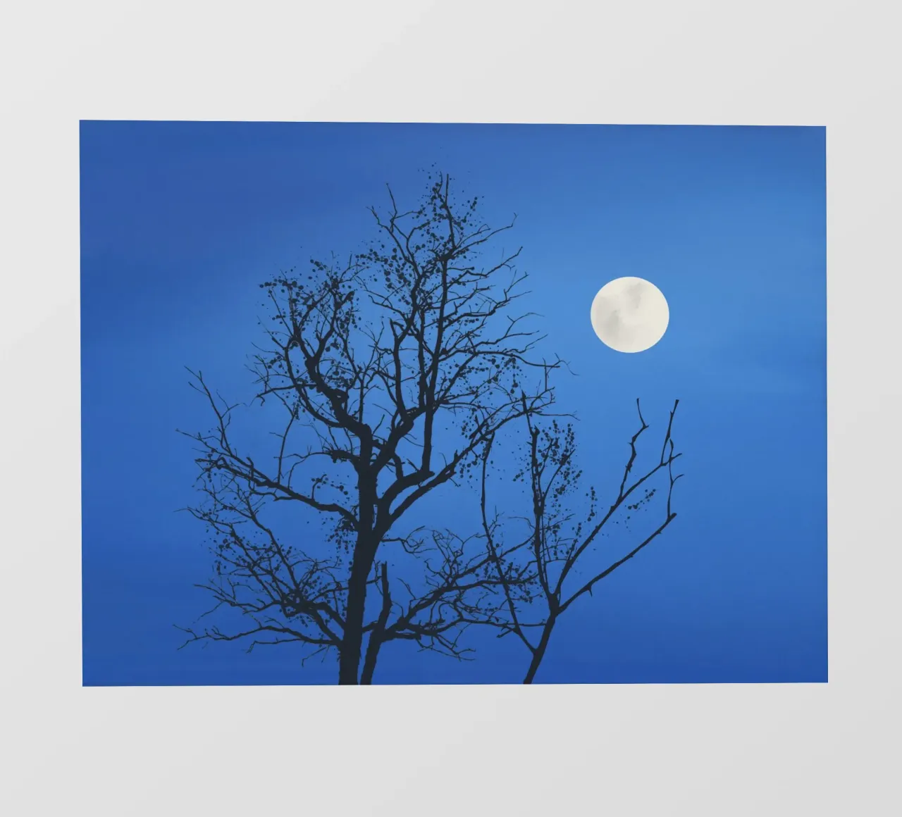 Blu notte di luna piena pellicola backlit da Little Dean
