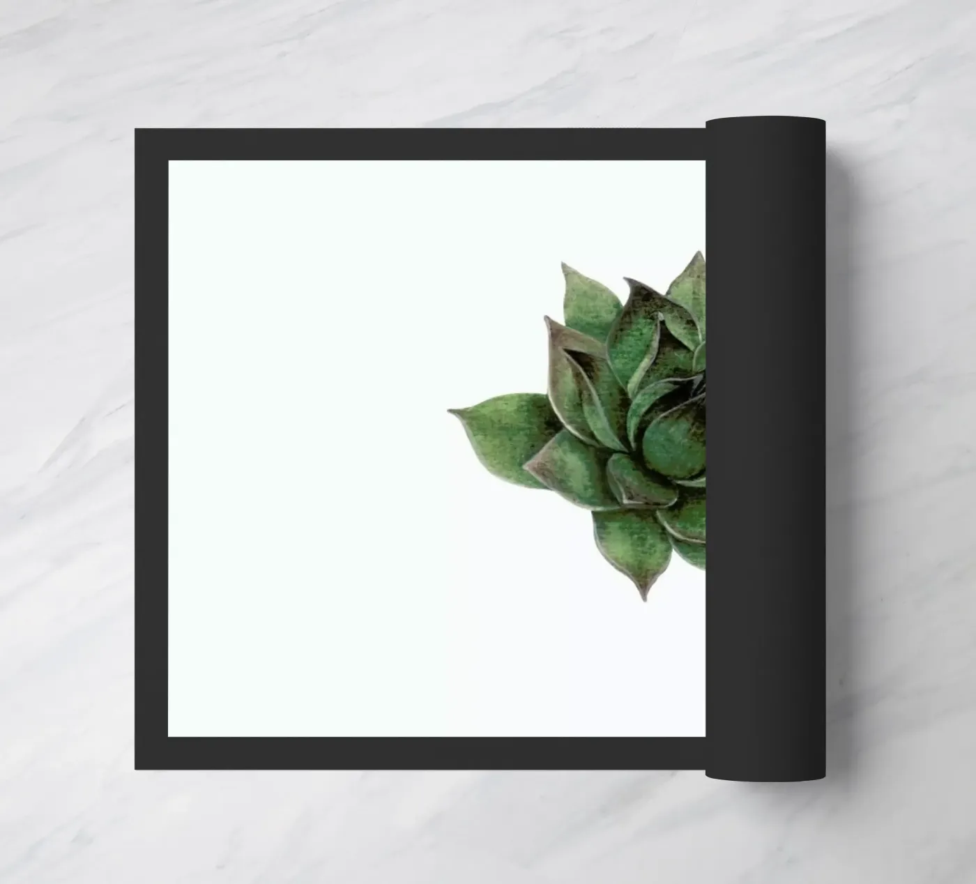 Succulent 2 zerbino da Maria Vdovichenko