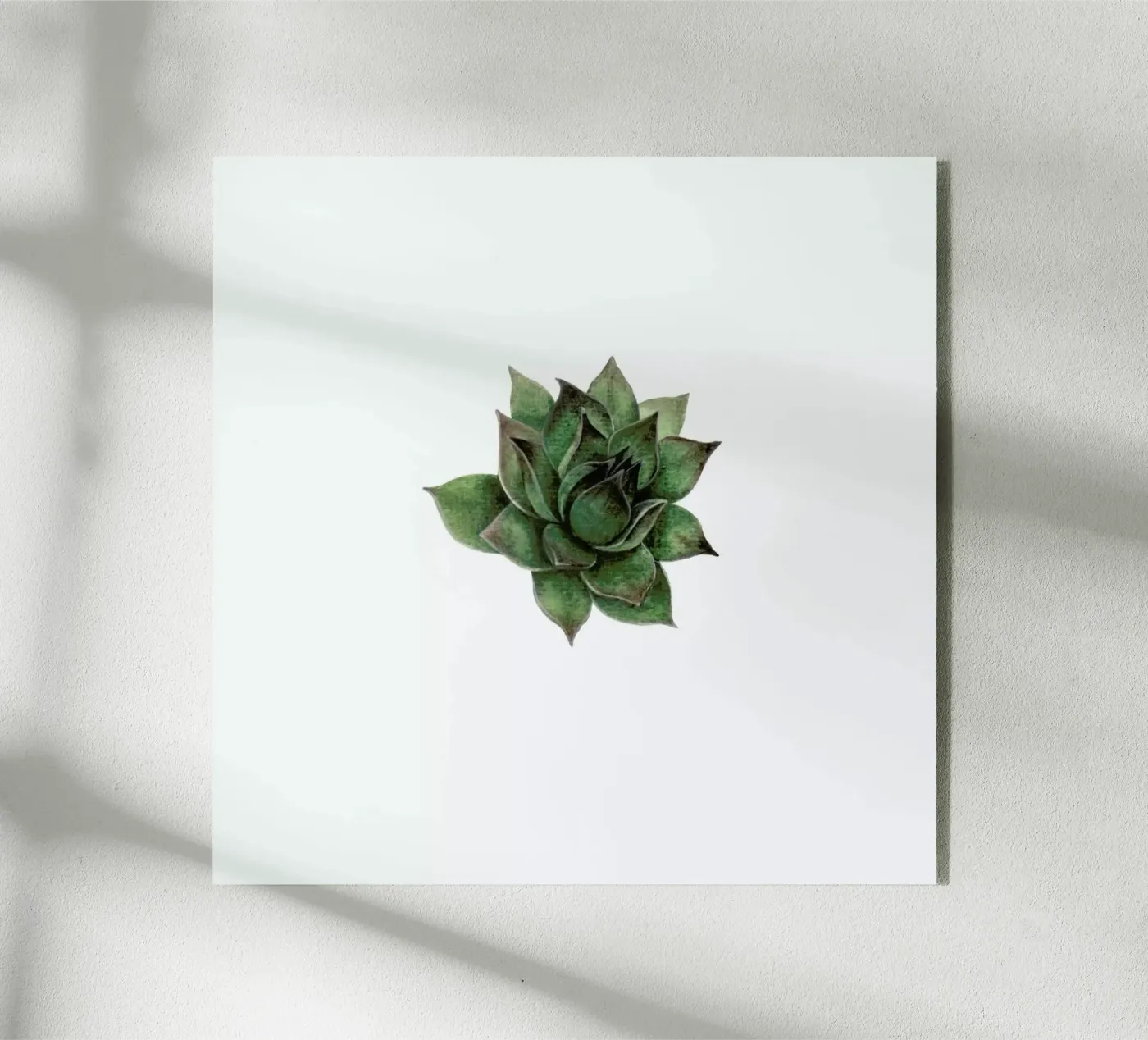 Succulent 2 acryl van Maria Vdovichenko