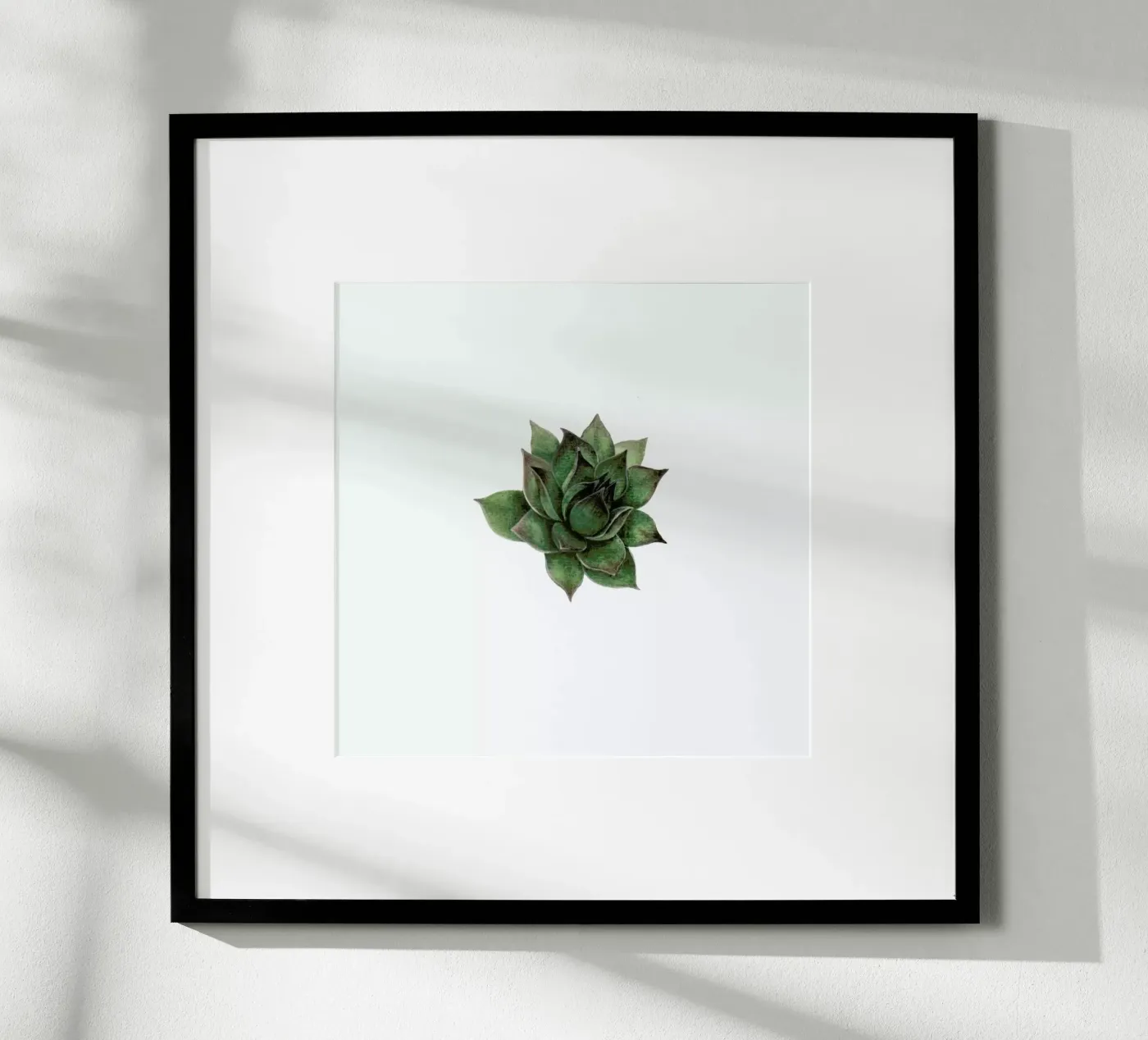 Succulent 2 poster da Maria Vdovichenko