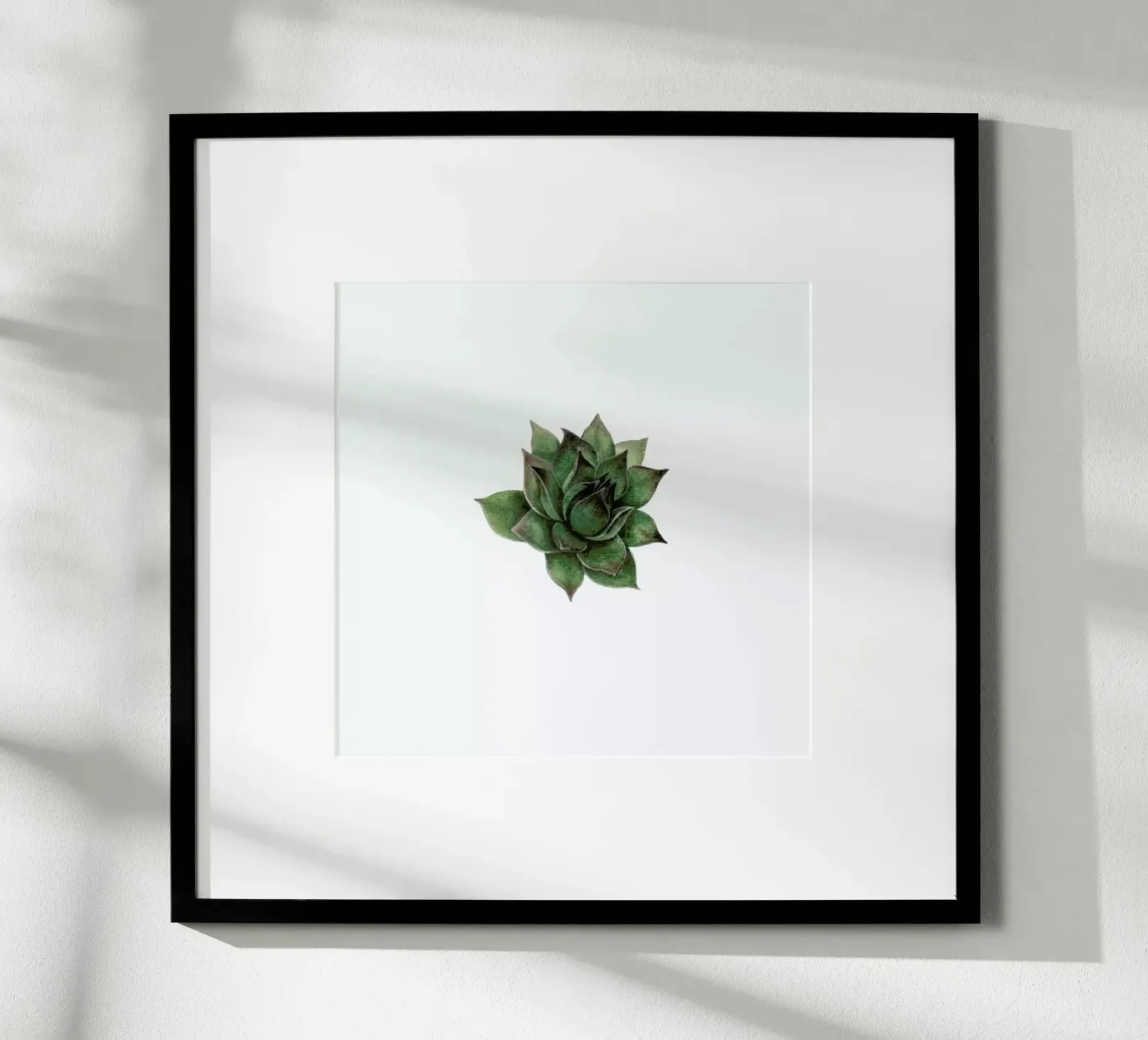 Succulent 2 poster da Maria Vdovichenko