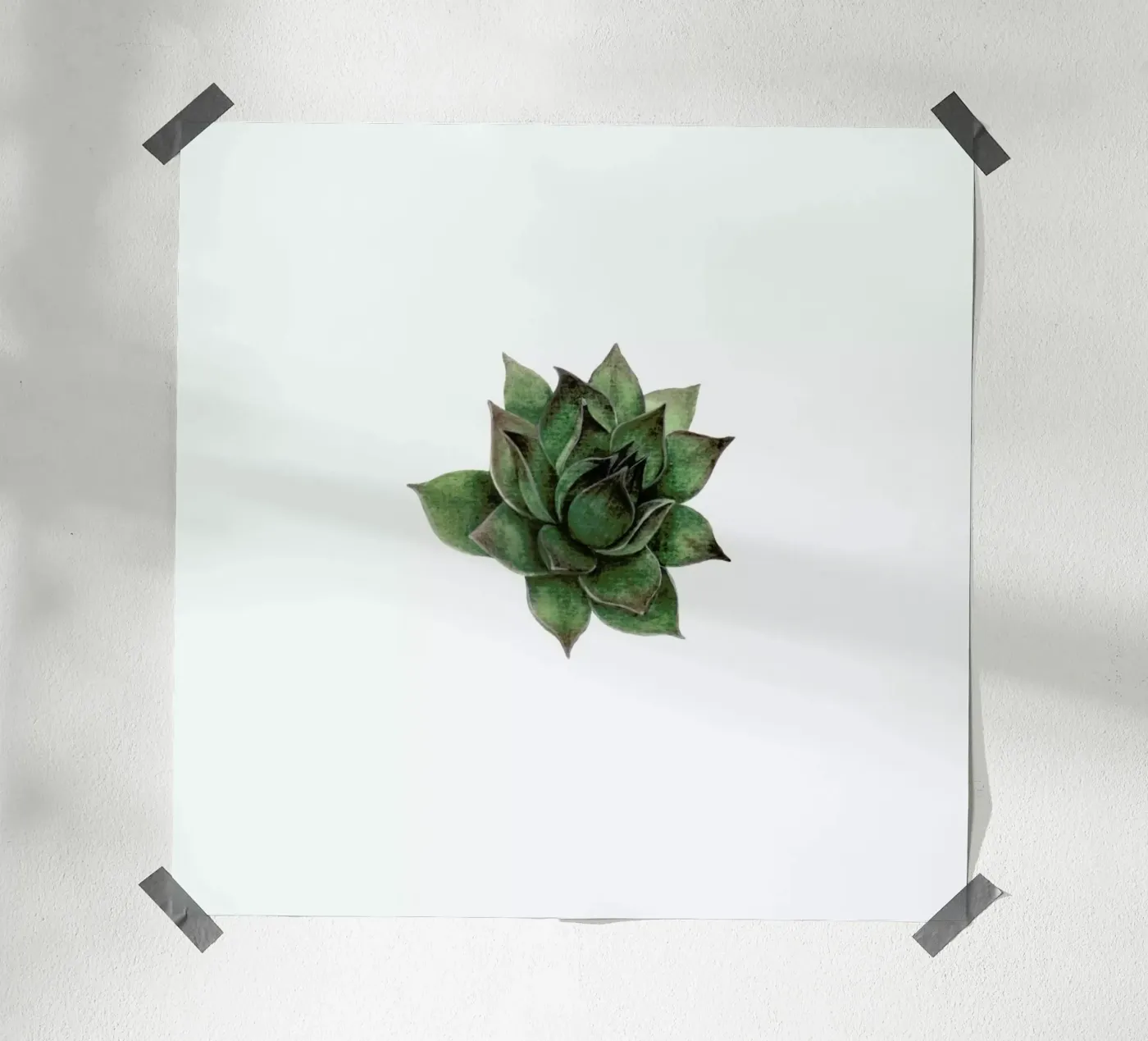 Succulent 2 poster da Maria Vdovichenko